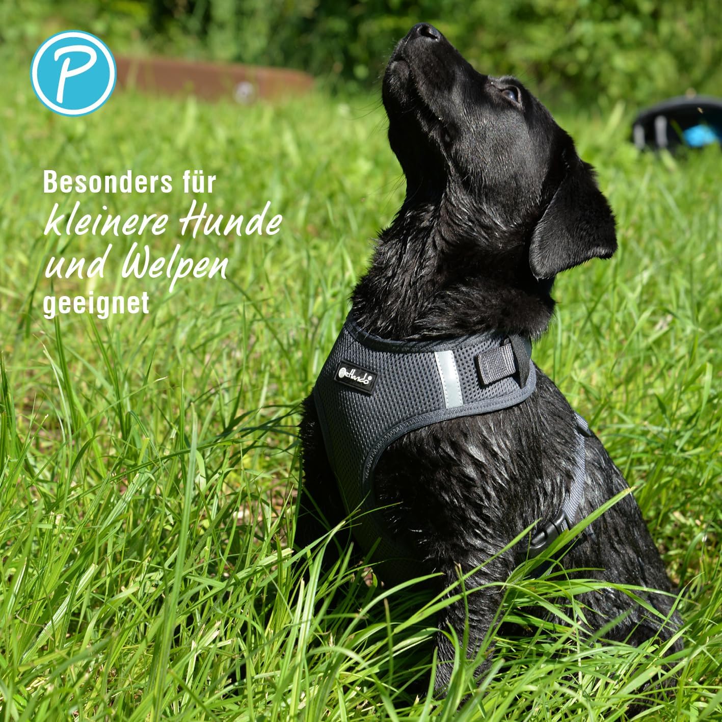 Hundegeschirr Mesh Vest, Schwarz XL
