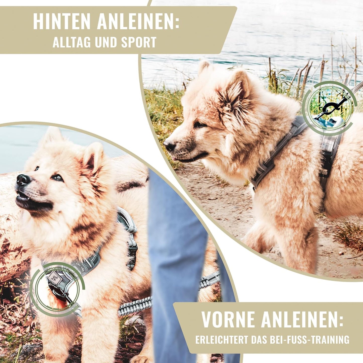 Hundegeschirr mit Ruckdämpfer, S