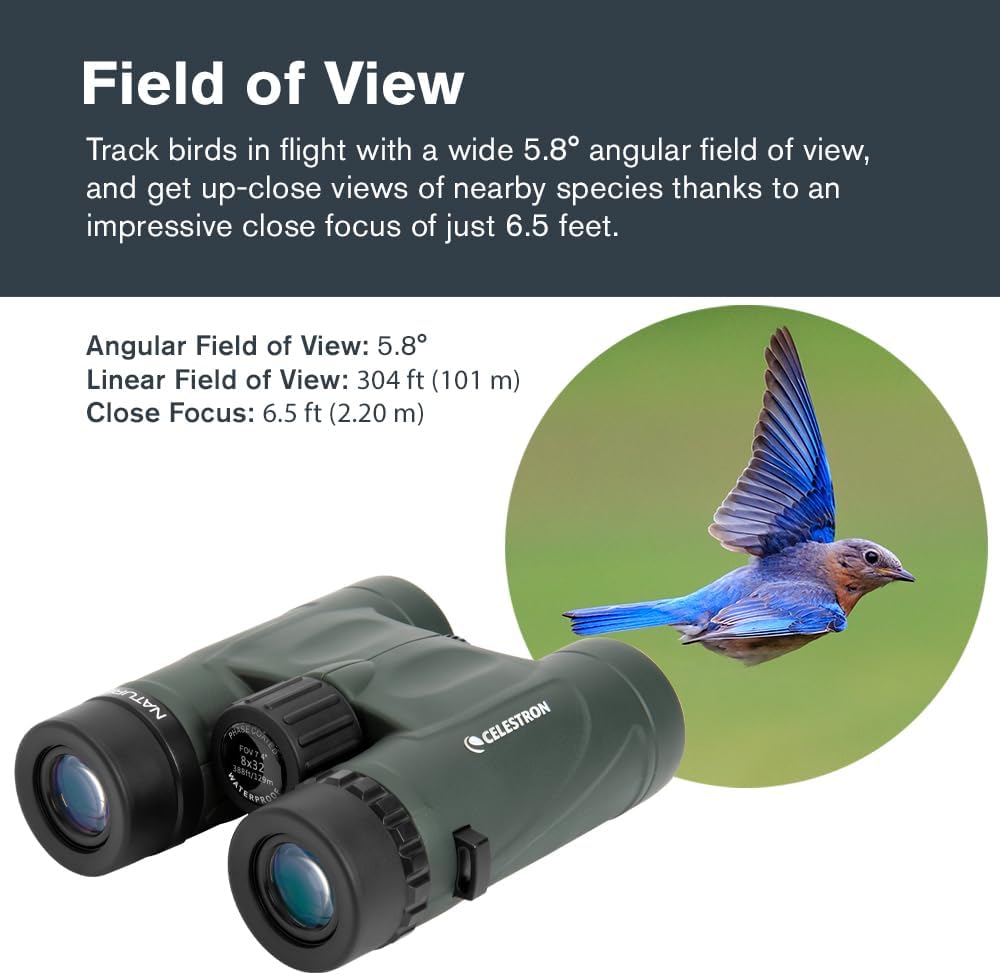 Nature DX 10x32 Fernglas, Nature DX 10x32 BaK-4 Prism