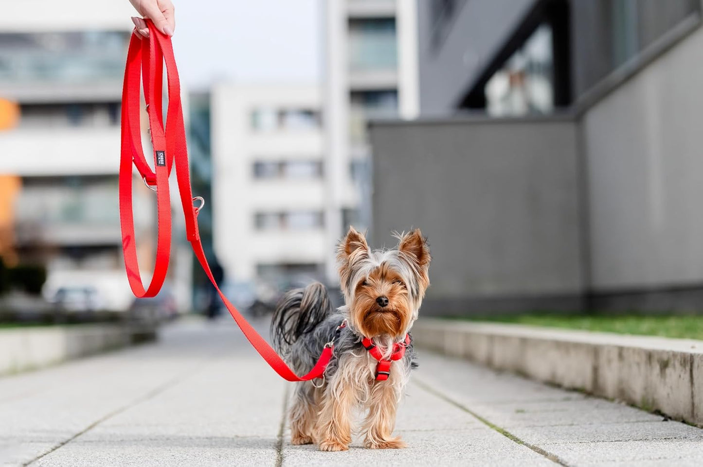 Guard - Ausbruchssicheres Hundegeschirr, M Rot