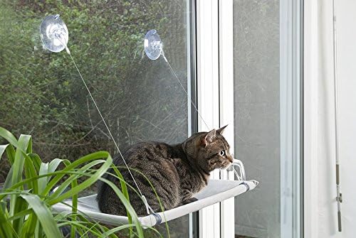 Fensterliege Window Lounger mit Saugnäpfen