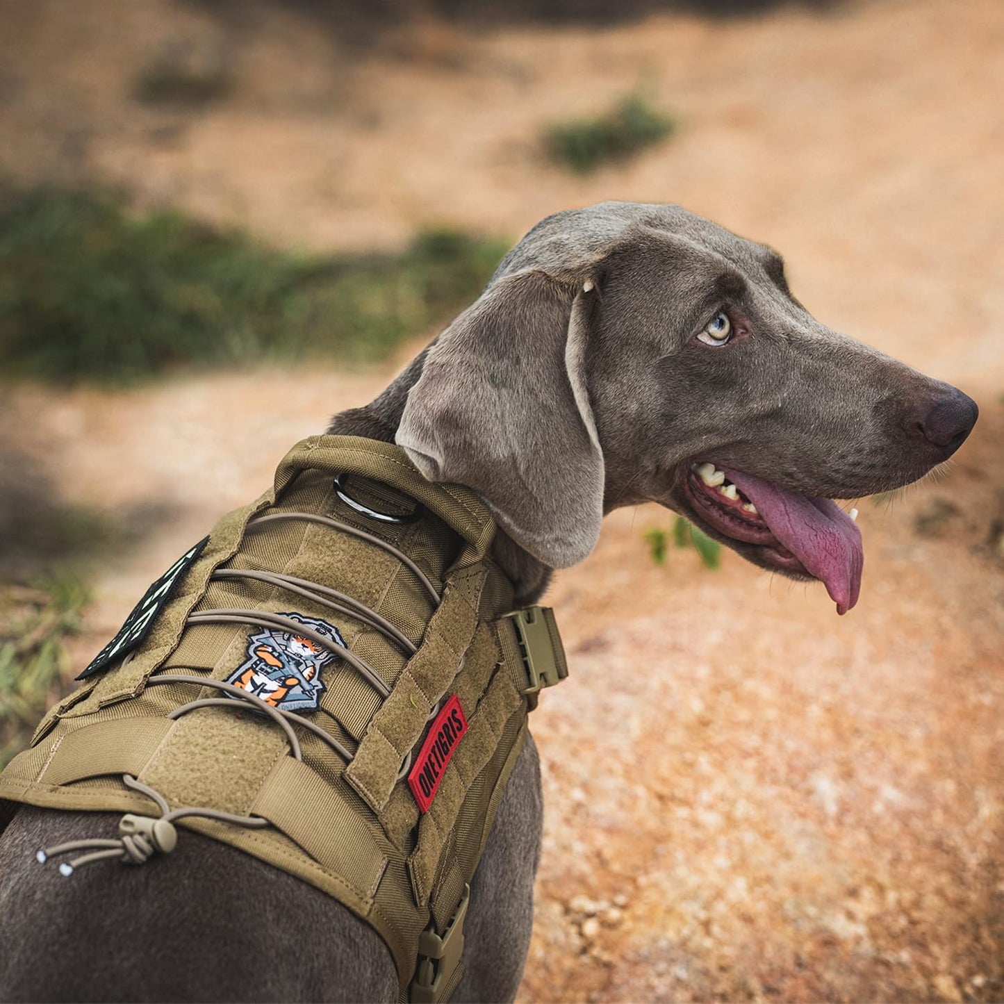 Fire Watcher Hundegeschirr, Braun|M