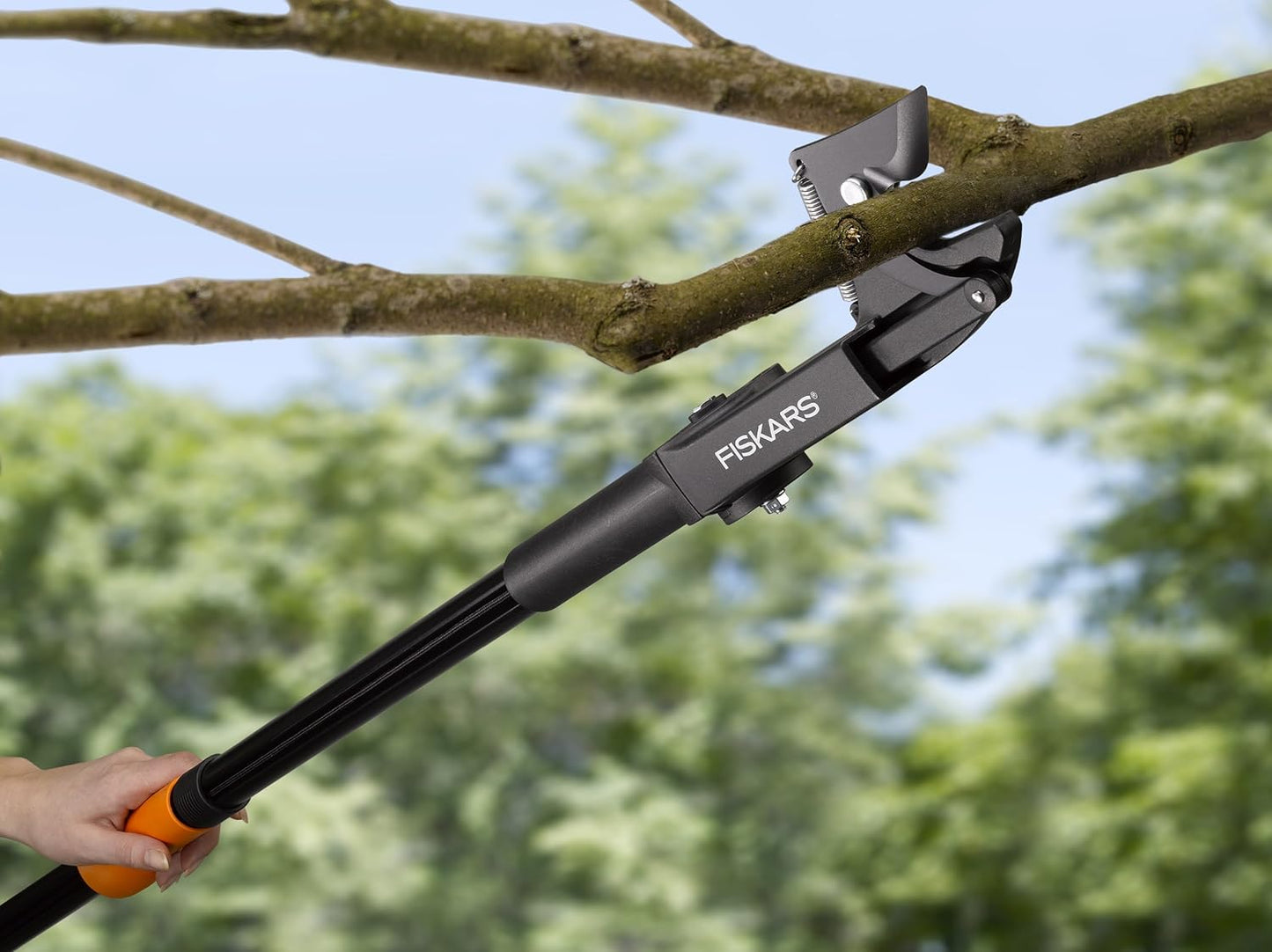 Amboss-Schneidgiraffe für trockenes Holz, UP53 (amboss)