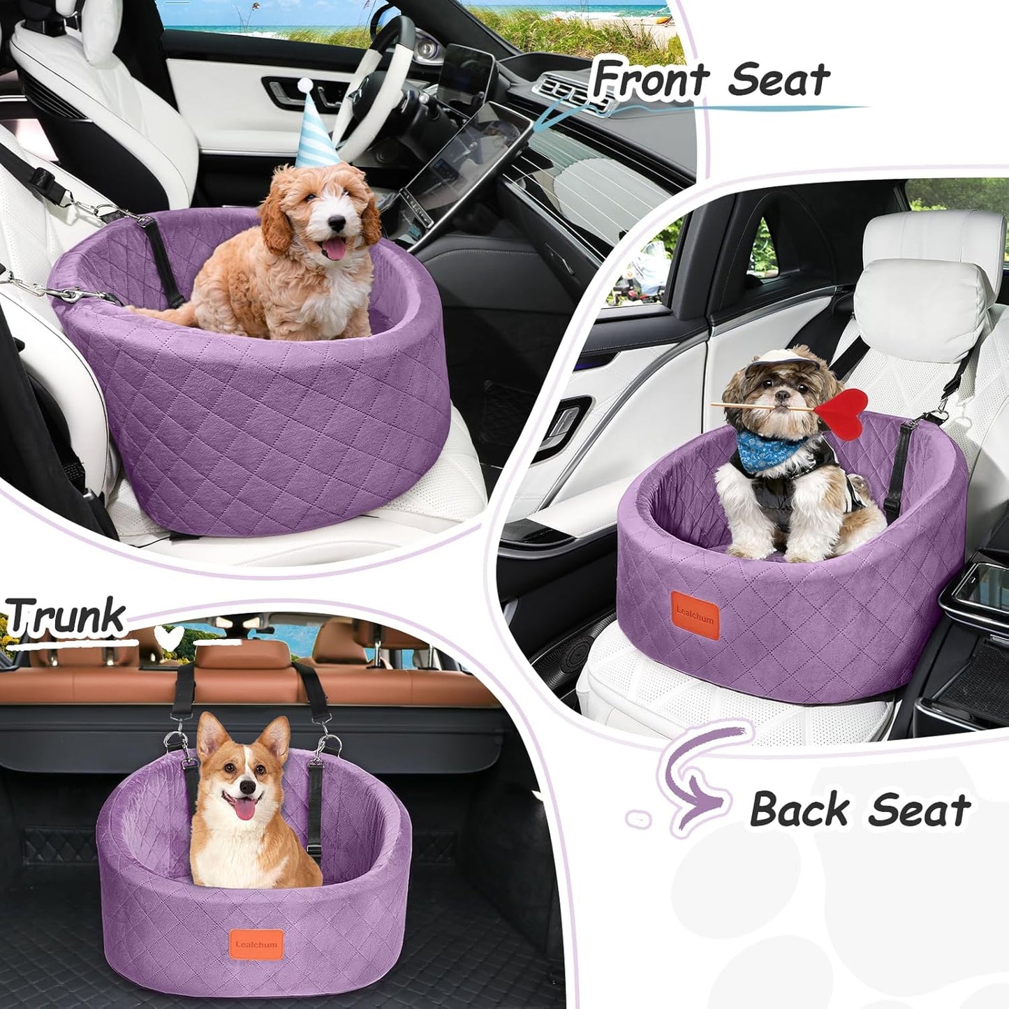 Bequemer Haustier-Autositz mit Sicherheitsleinen, Purple Small