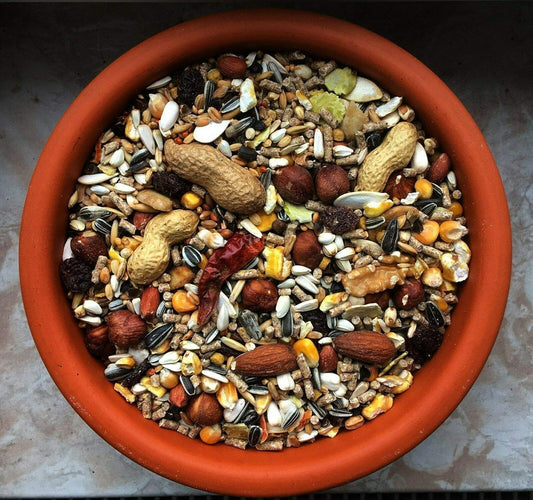 10 kg Eichhörnchenfutter für Futterhaus