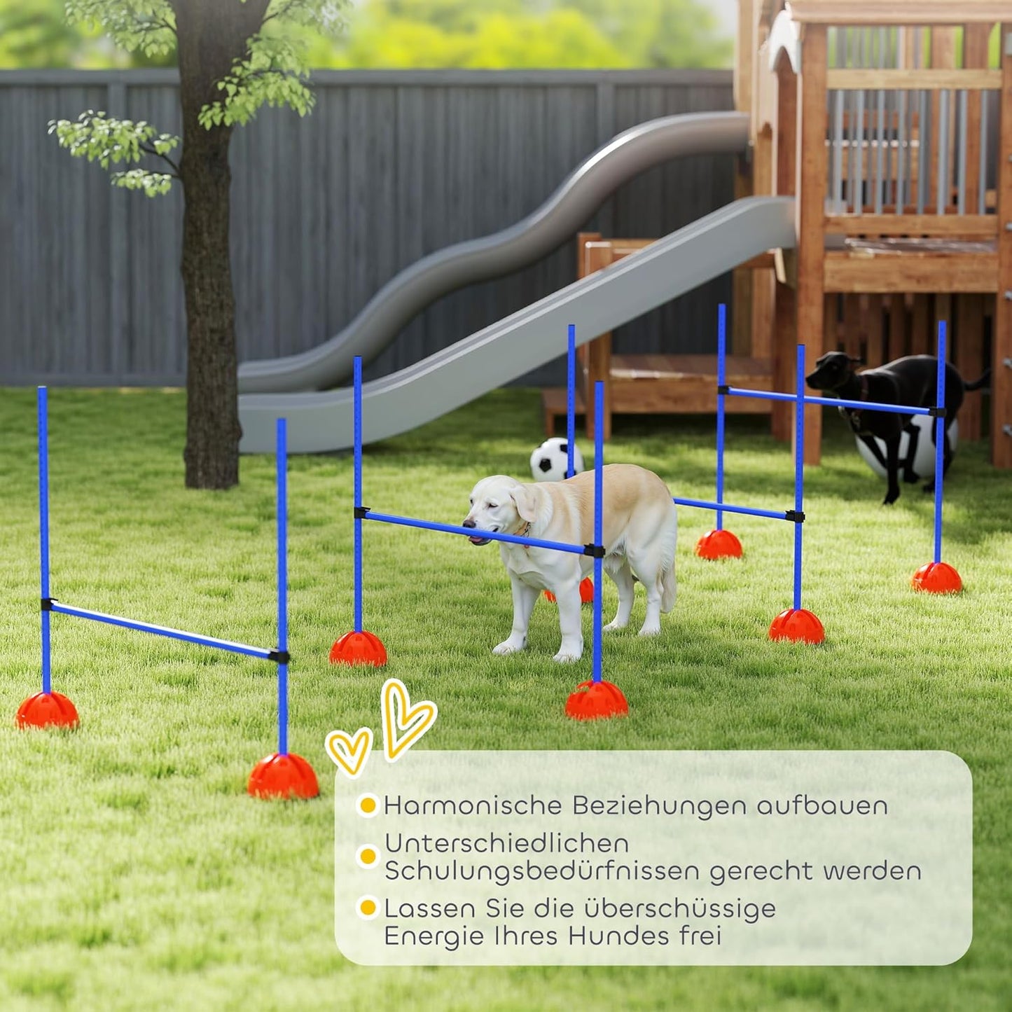 Agility Trainingsset, Blau