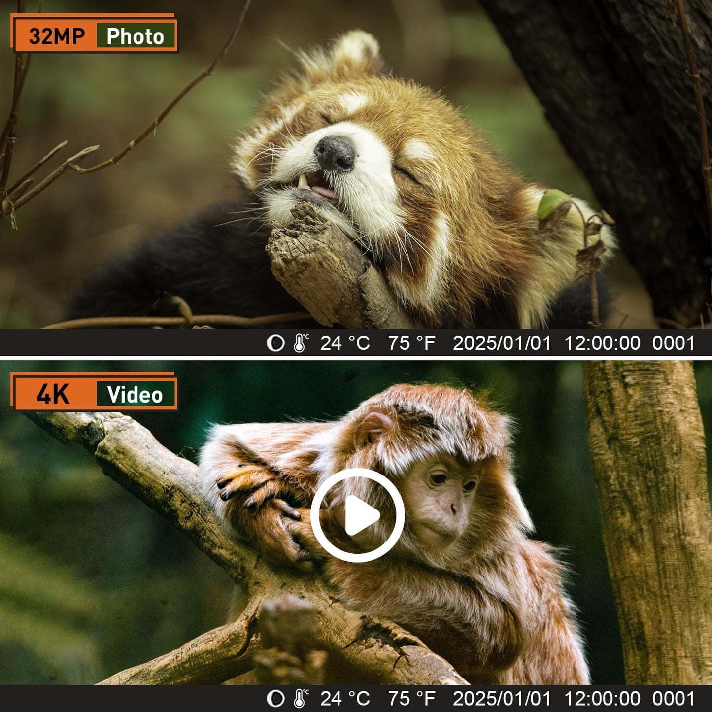 Wildtierkamera mit Nachtsicht und Infrarot, Armeegrün