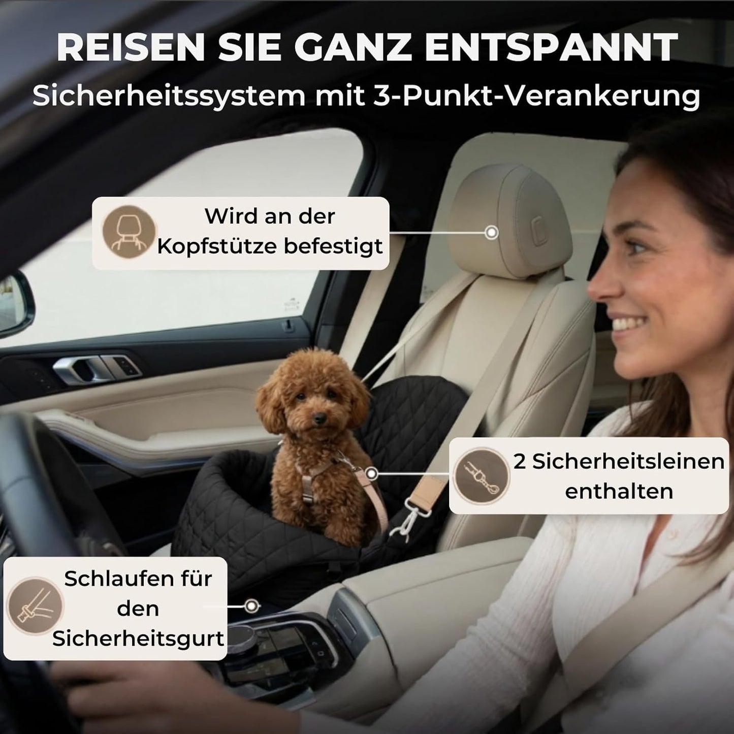 Hundetransporttasche fürs Auto mit Sicherheitsleine, Schwarz