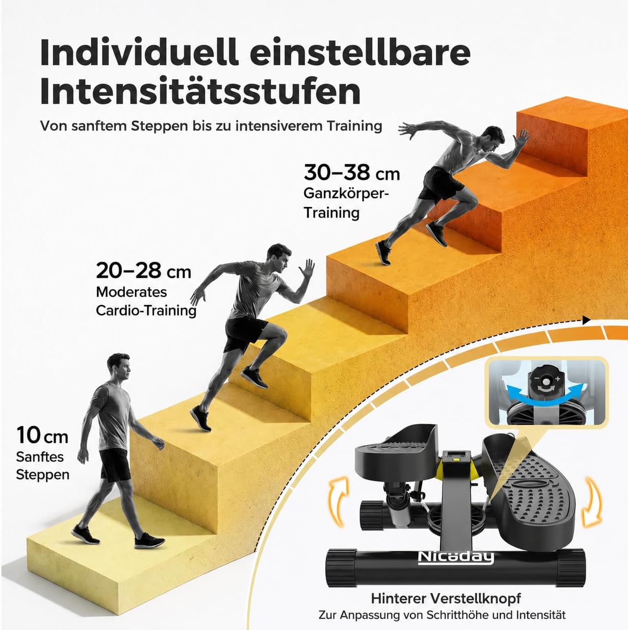 Twist Stepper mit Power Ropes