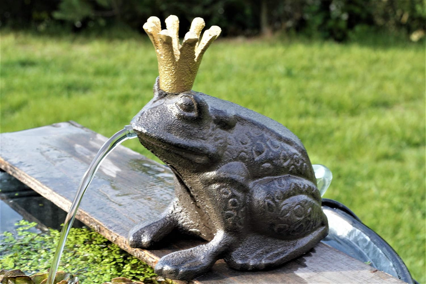 Wasserspeier Froschkönig mit Solarpumpe