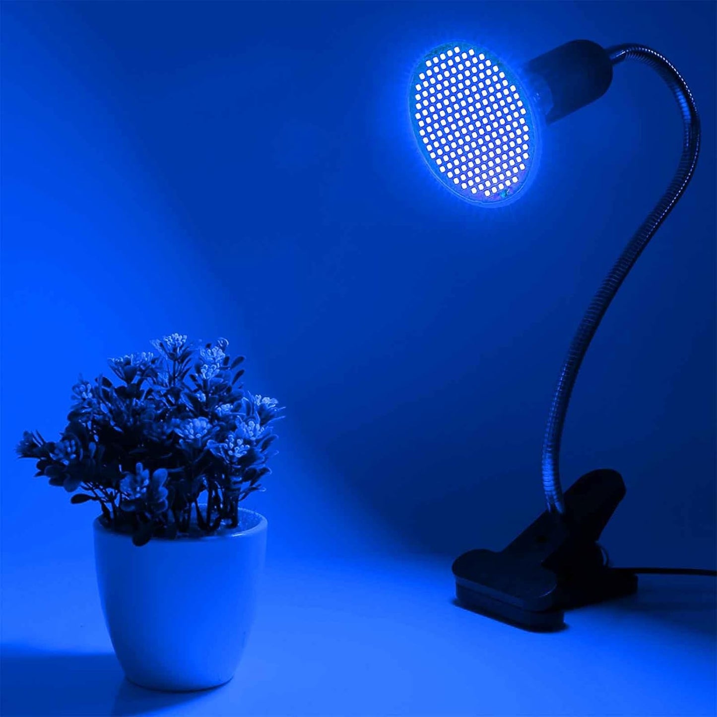LED-Pflanzenlampe, 【blau】