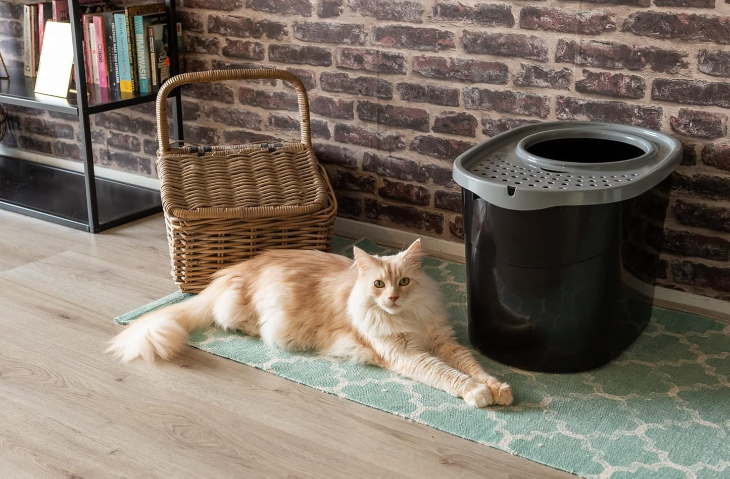 Geschlossene Katzen-Toilette mit Schaufel, XXL, Schwarz Mittel