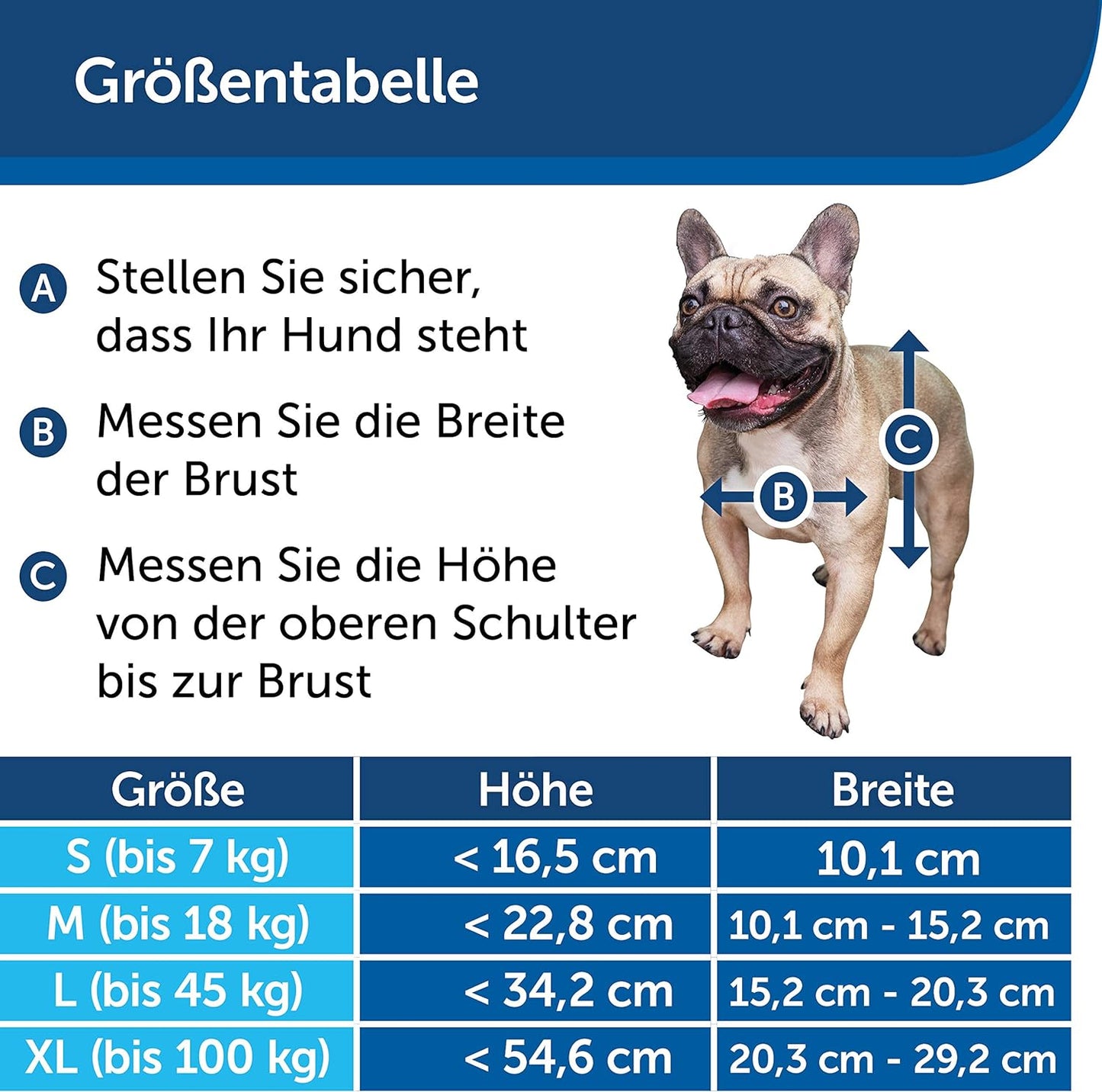 Katzenklappe, S