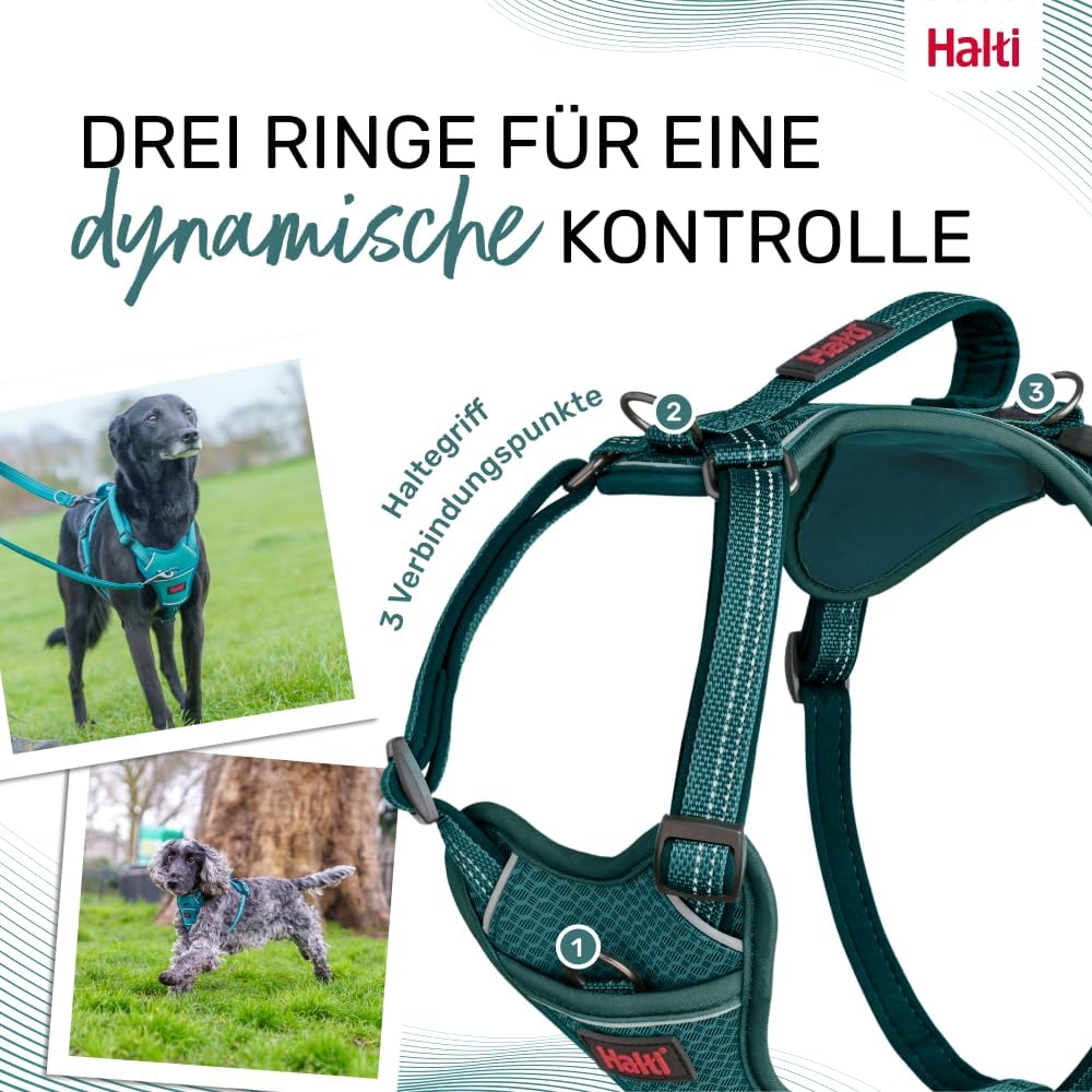 Halti Anatomie Hundegeschirr mit Griff, 3 Leinenpunkte, verstellbar, reflektierend, Blaugrün S