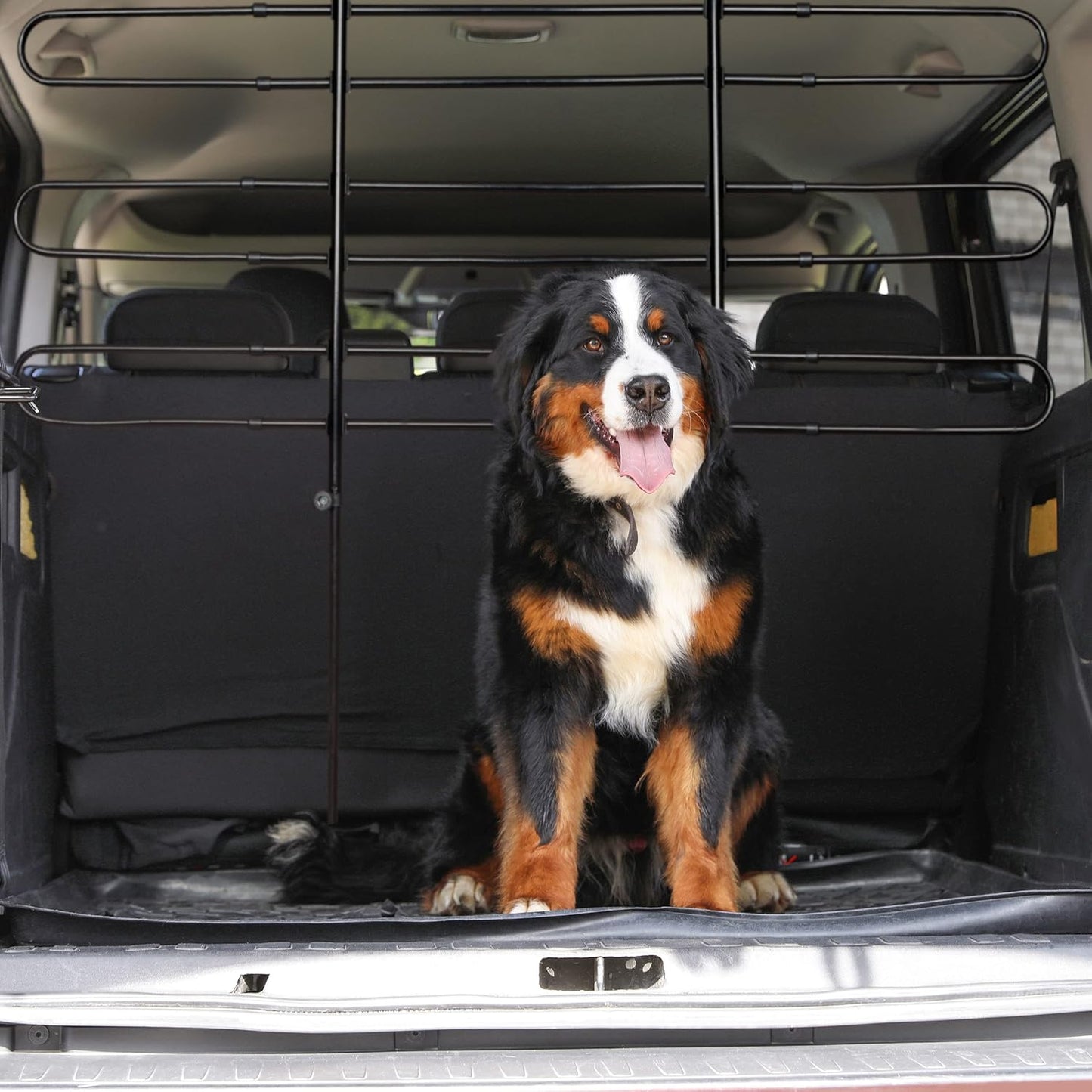 Hundegitter Auto
