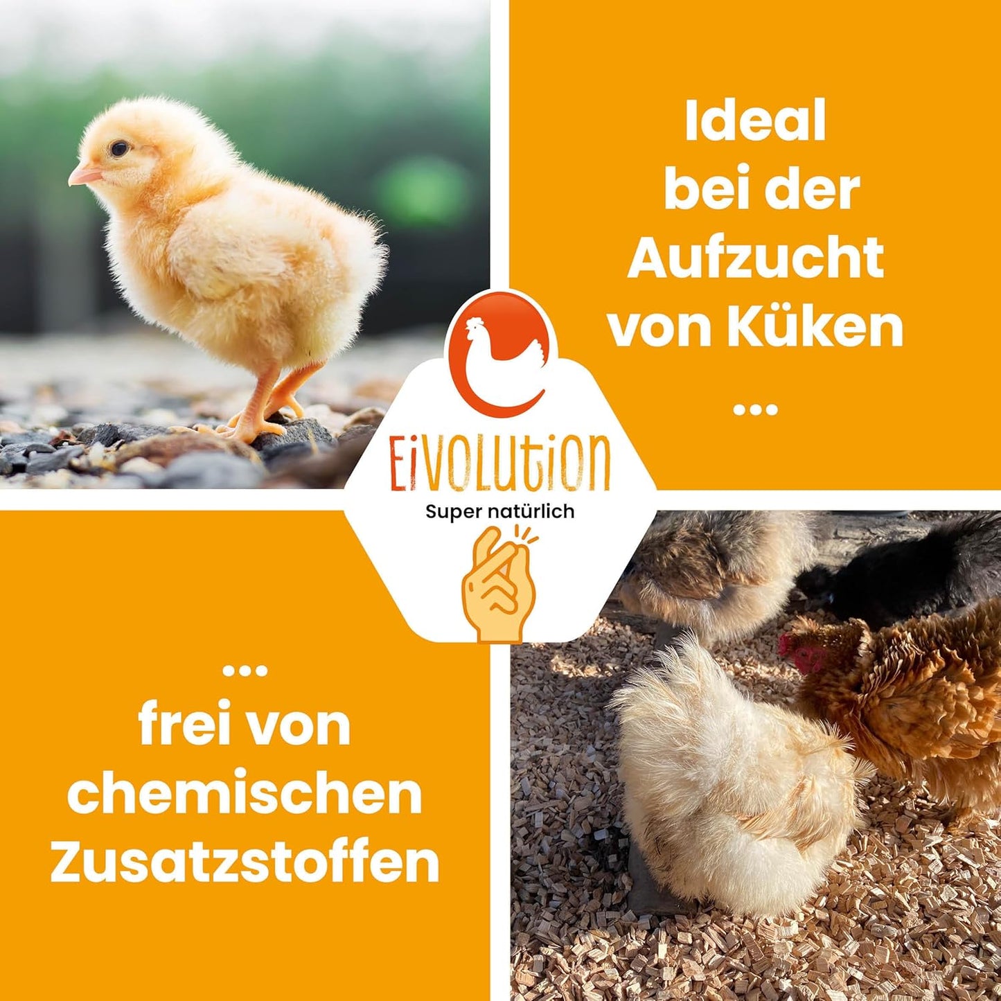 Buchenhack Einstreu, Staubfrei & Natürlich