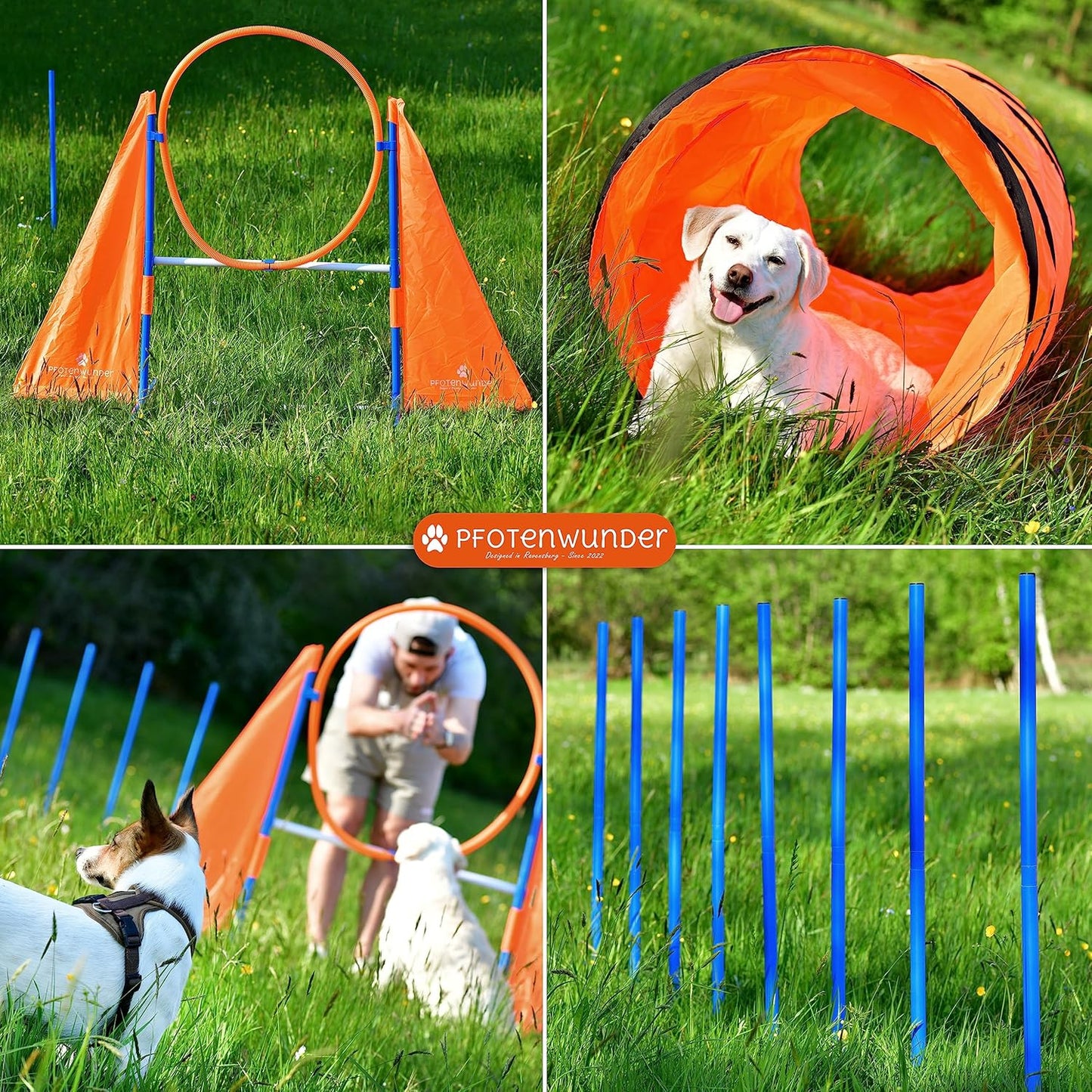 Agility-Set für Hunde