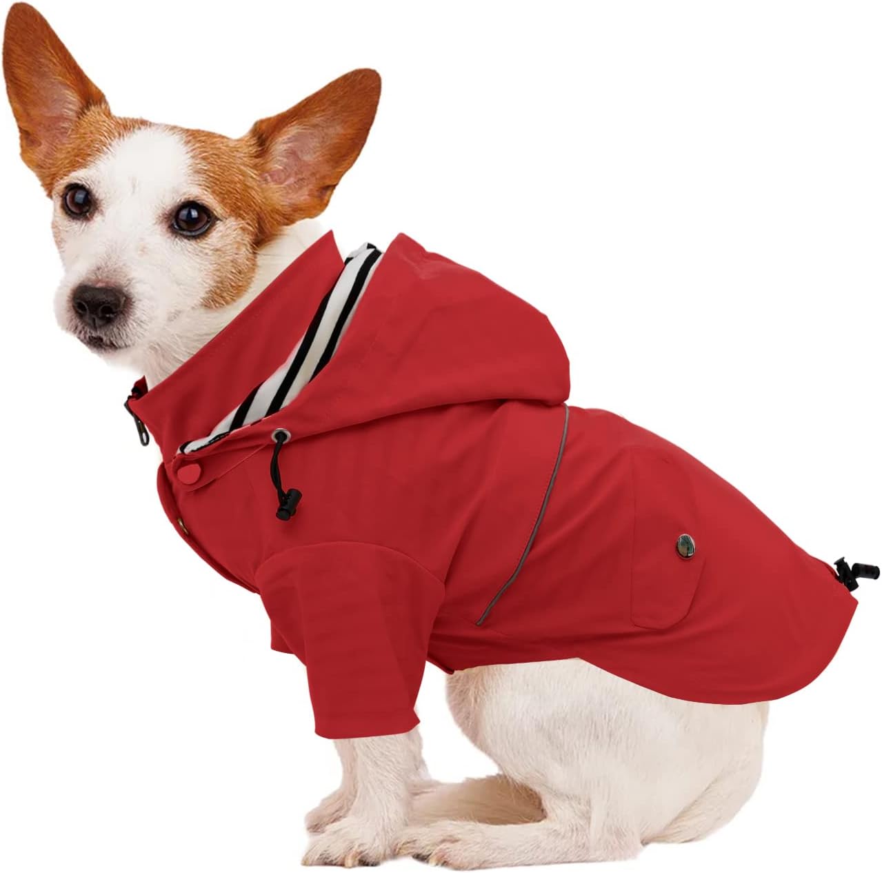 Premium Hunde-Regenjacke mit abnehmbarer Kapuze, XS Rot