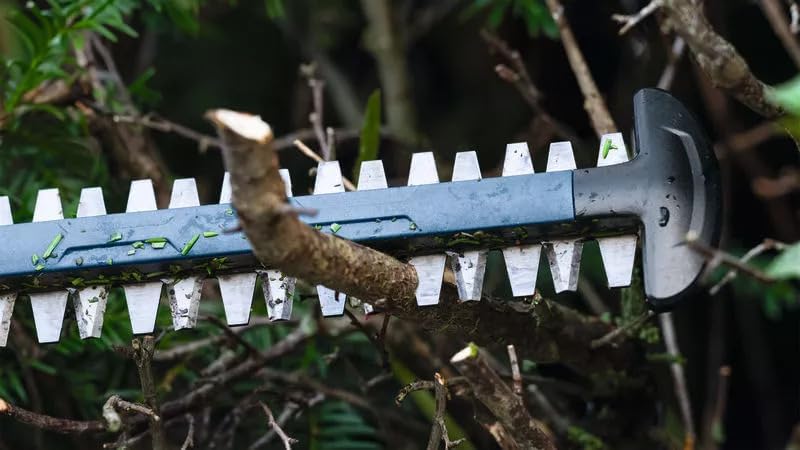 Akku-Heckenschere GHE 18V-50, ohne Akku