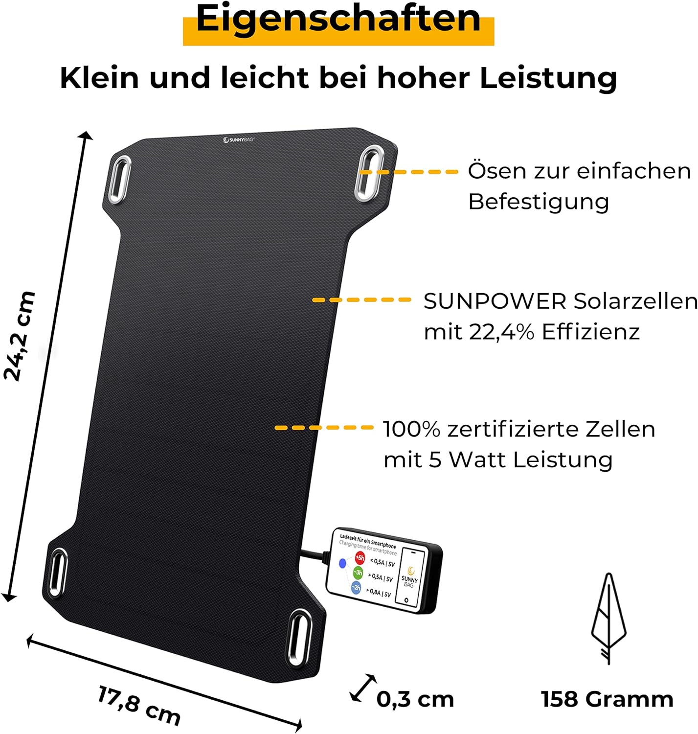 Leaf Mini 138A_01