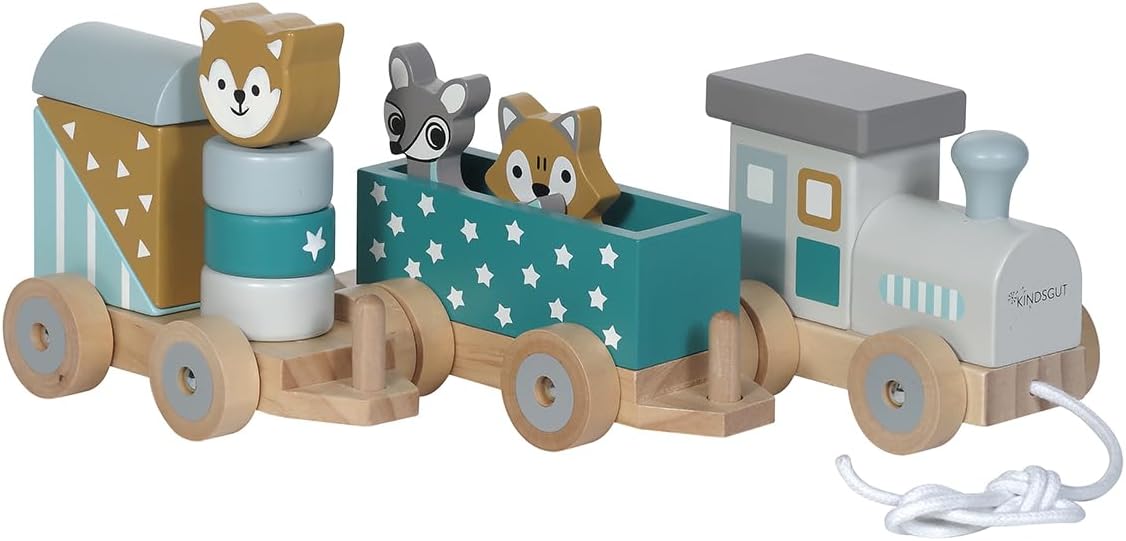 Holz-Eisenbahn mit Zoo-Tieren und Bausteinen, Petrol