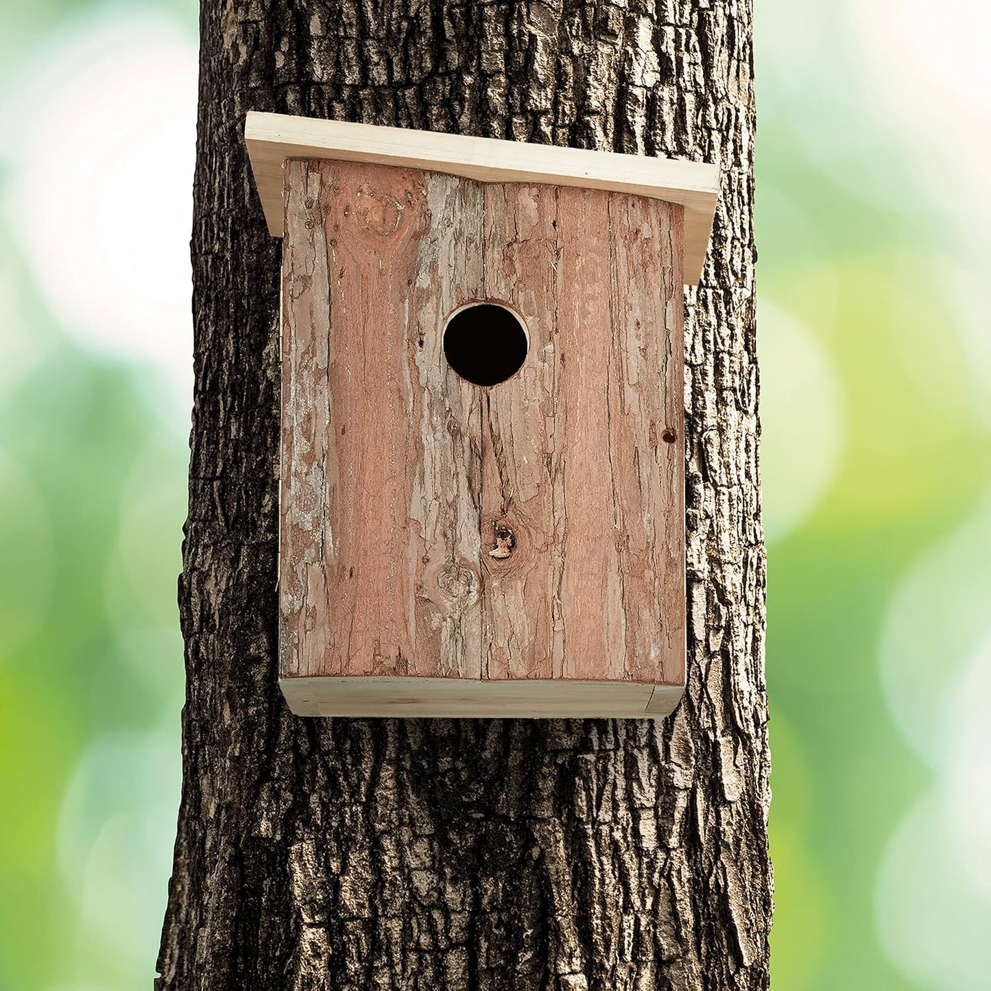 Nistkasten aus Holz mit 28 mm Einflugloch, natur 20 x 16,5 x 16,5 cm