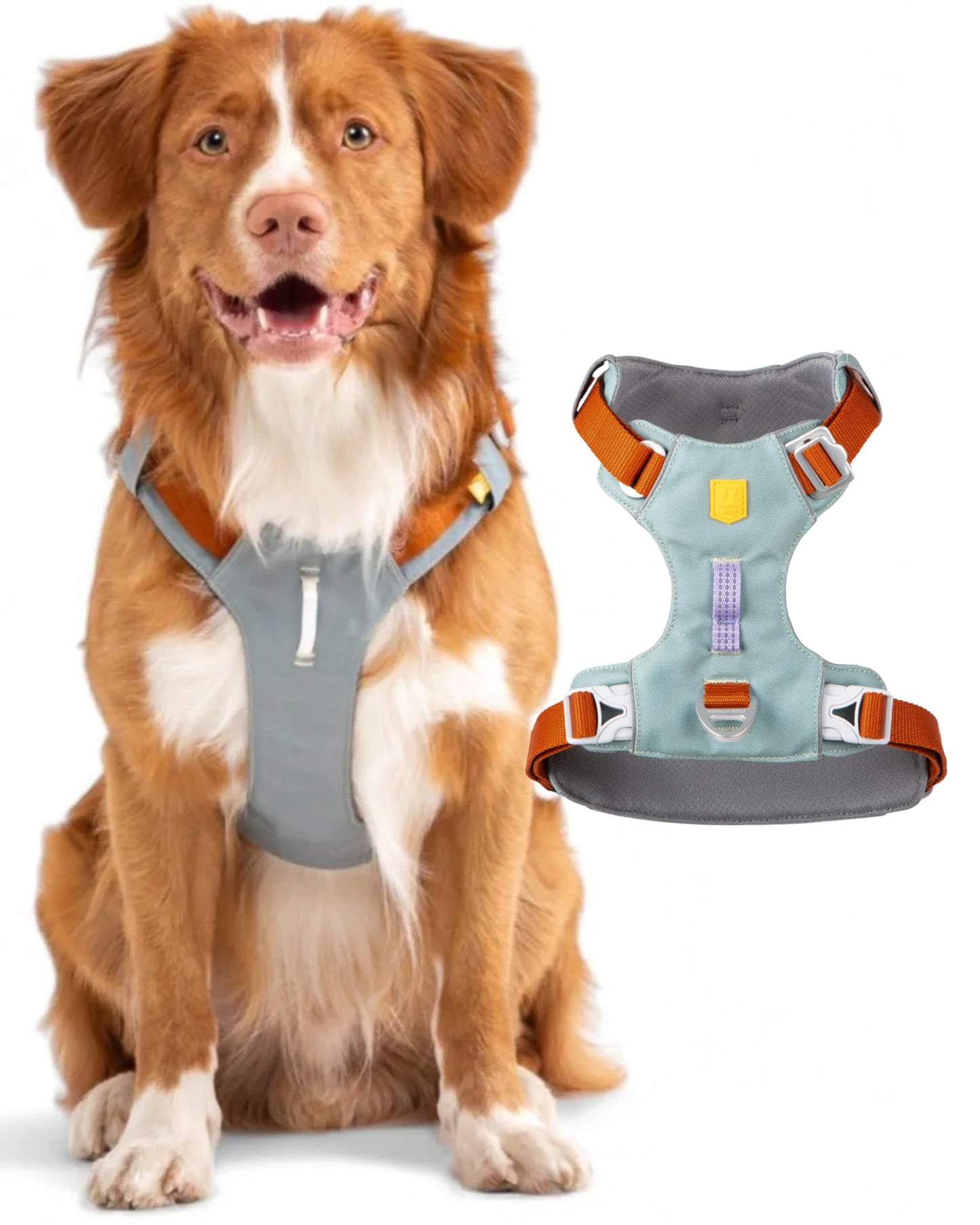 Alpha 360 Hundegeschirr, verstellbar, Gletschergrün L