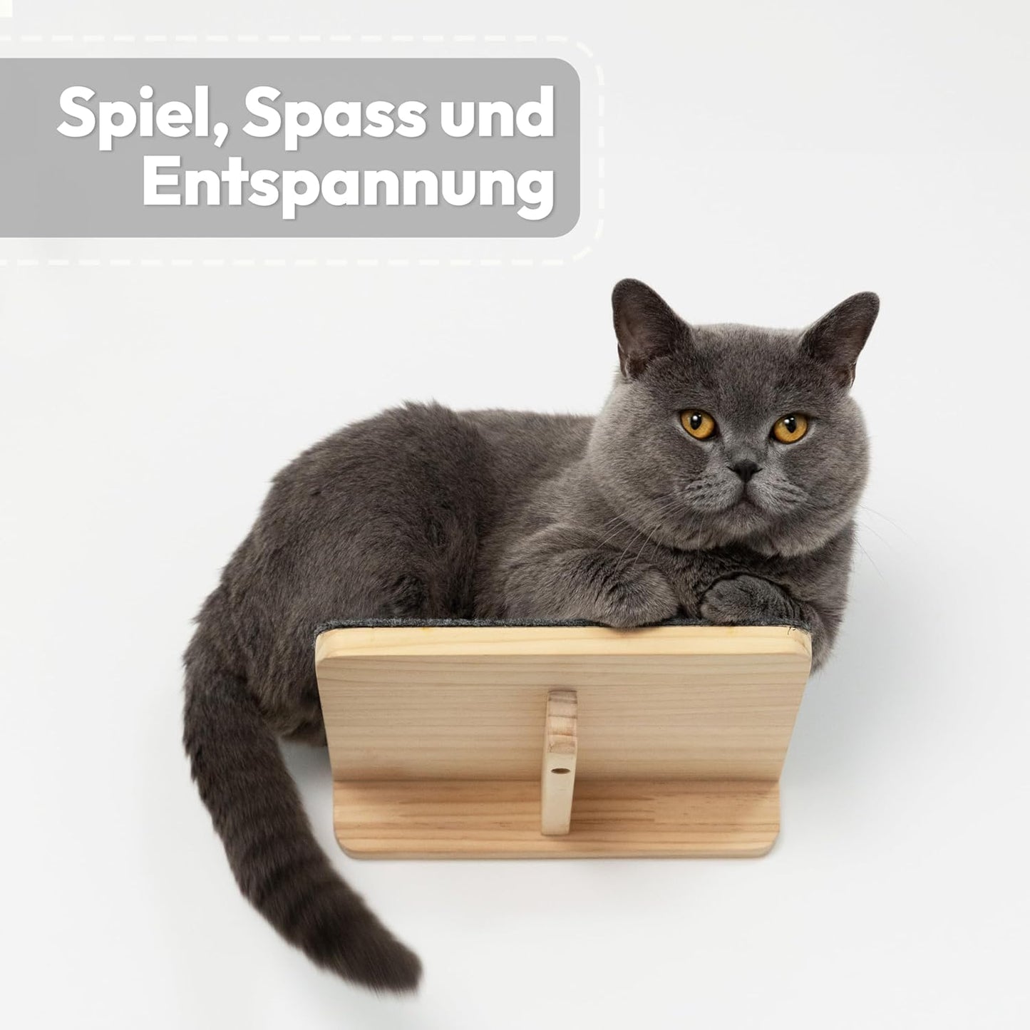 5-teiliges Hängematten-Set für Katzen, 5-teilig Beige