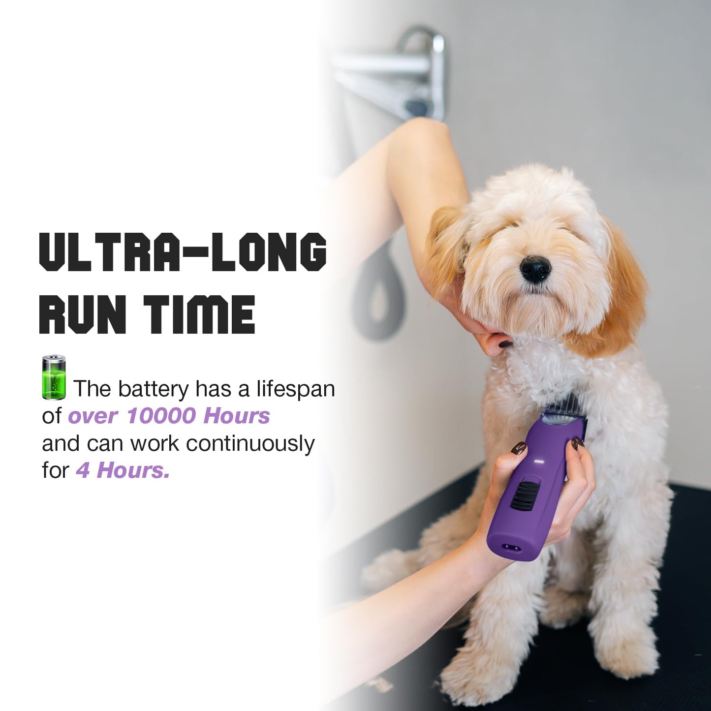 Hundeschermaschine Profi mit Aufsteckkämmen, Lila mit Metall-aufsteckkämme