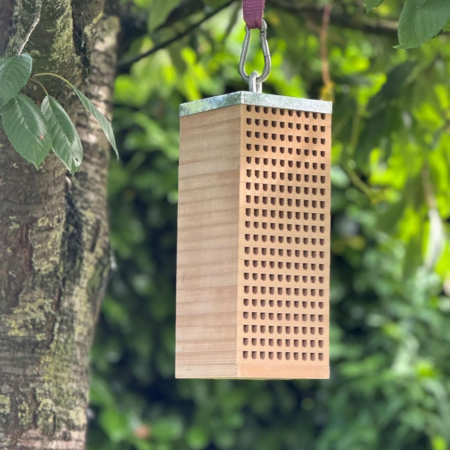 Bienenhotel