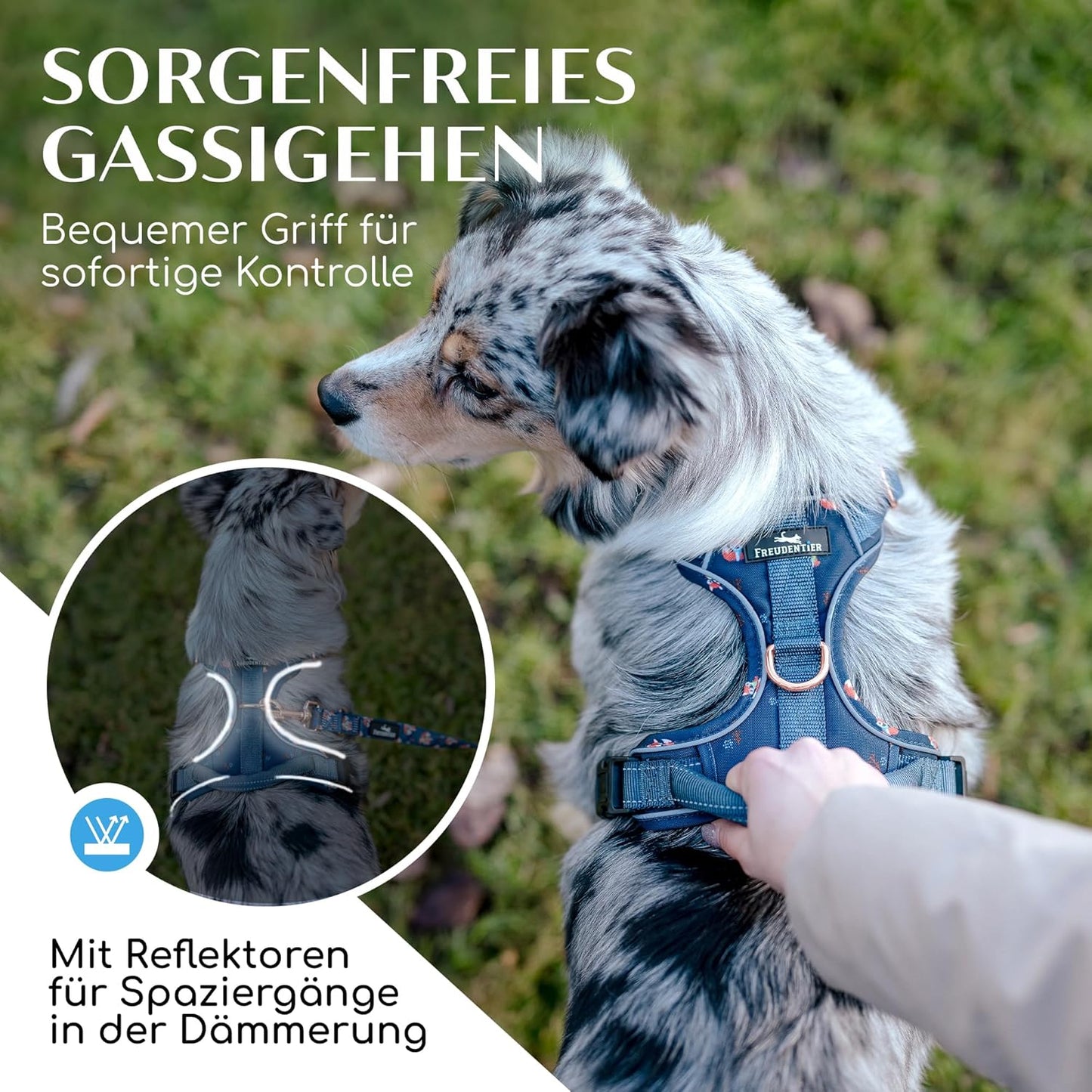 Hundegeschirr, S