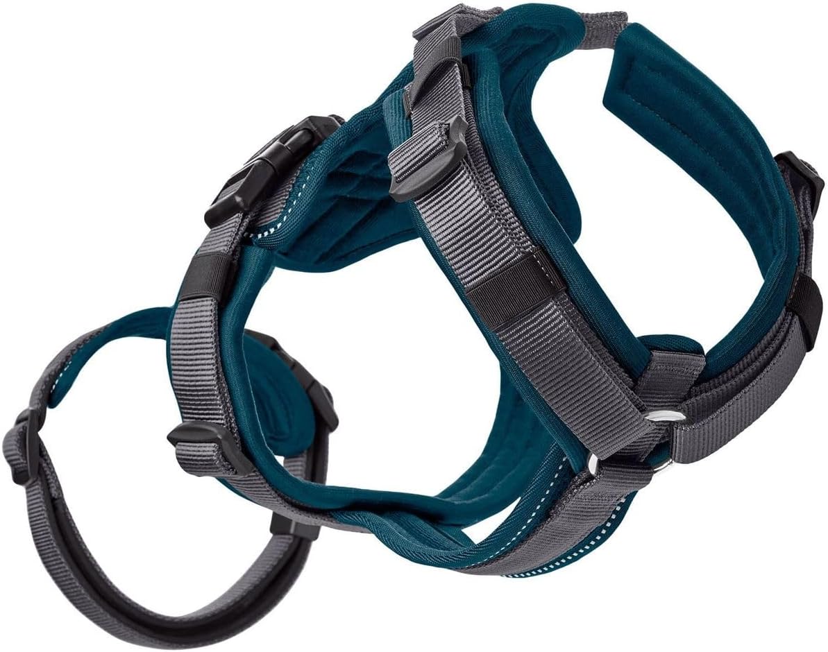 Sicherheitsgeschirr XS-S, XS-S petrol/grau
