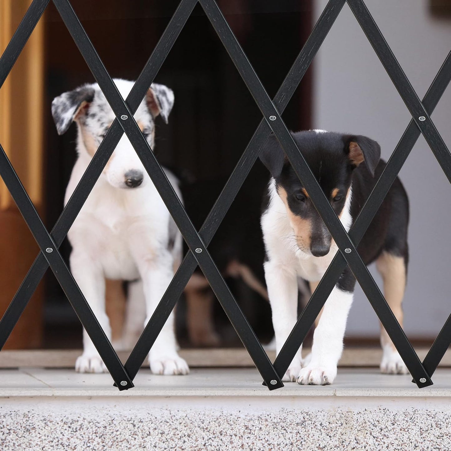 Hundeabsperrgitter ausziehbar, XL