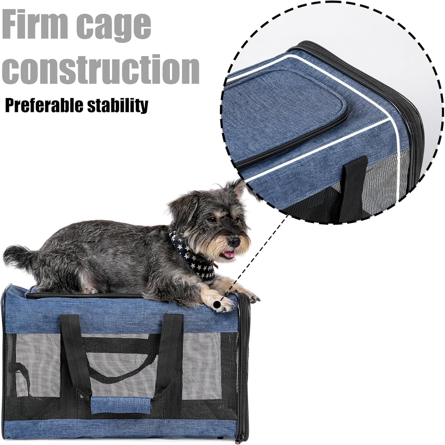Faltbare Hundetransportbox, Gross Blau