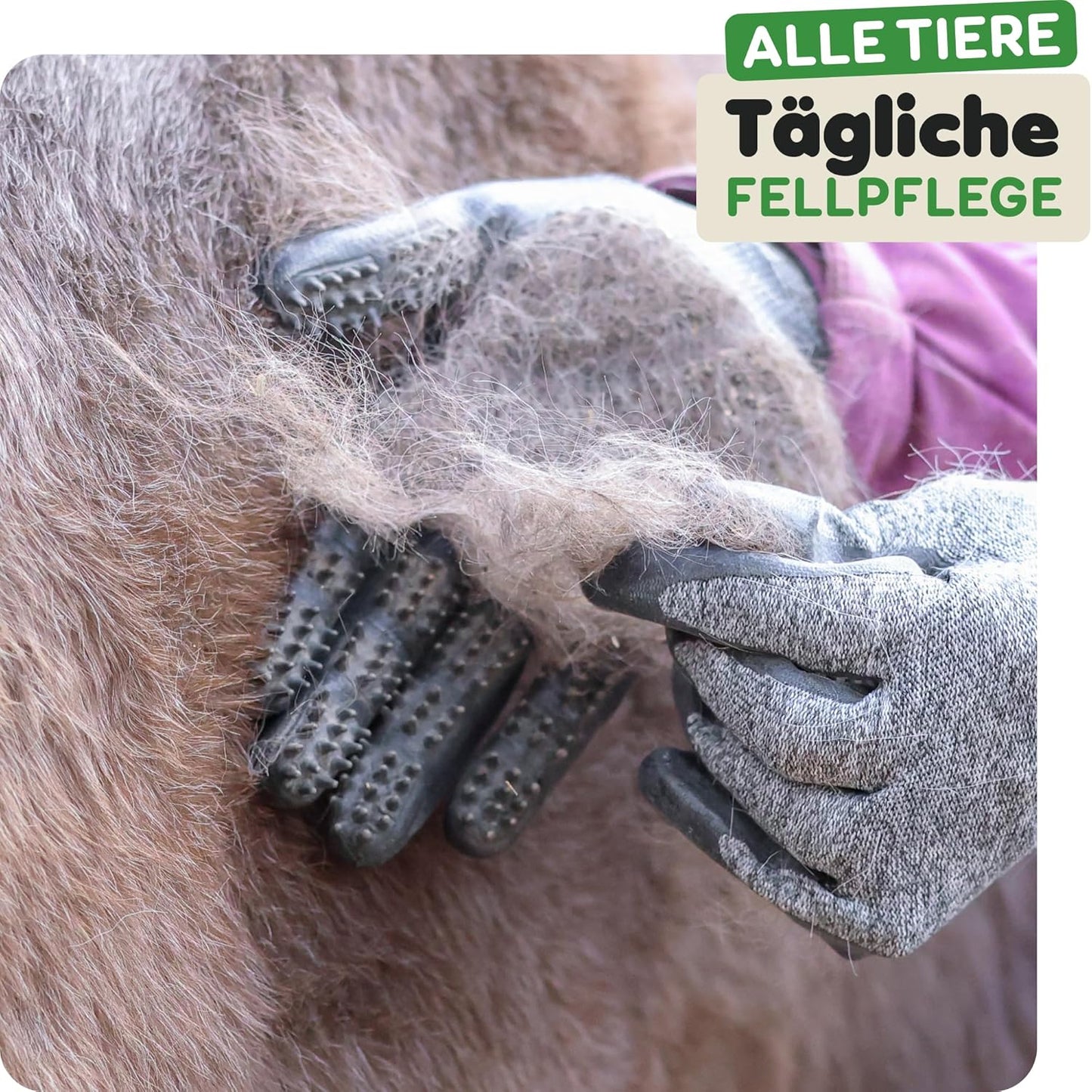 Fellpflegehandschuhe mit Noppen, L