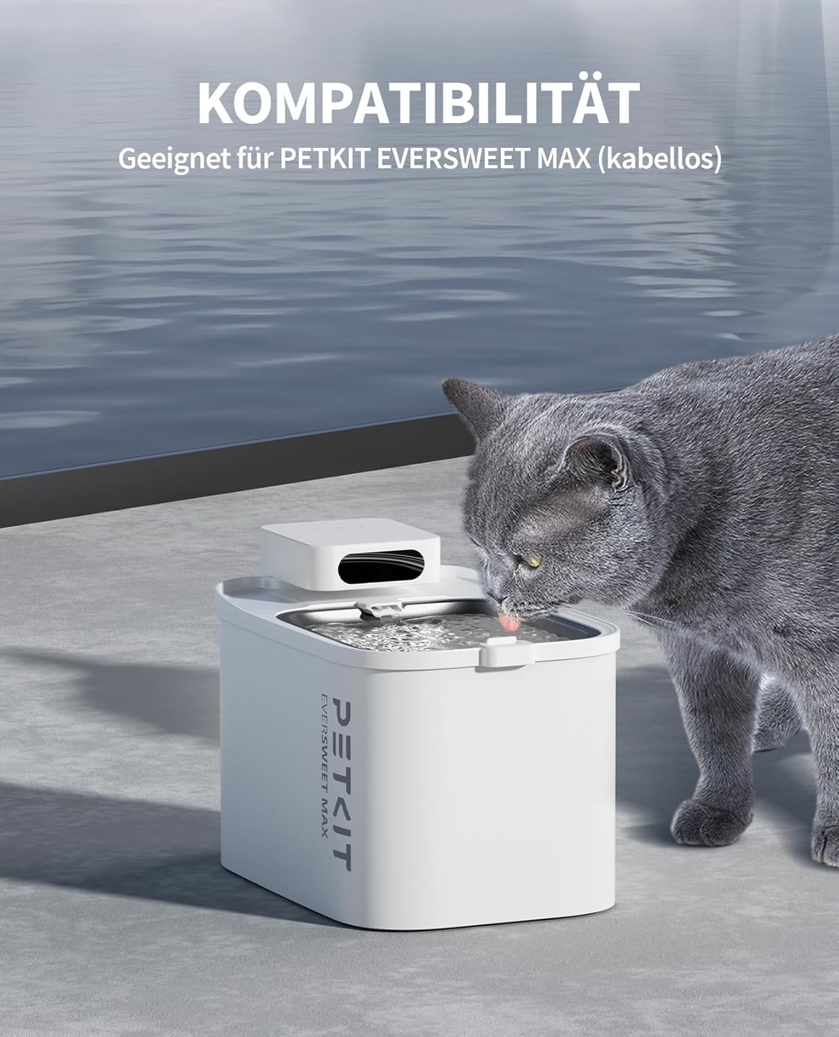 CT-W3 Filter für Trinkbrunnen, 5 Stück, CT-W3 Filter