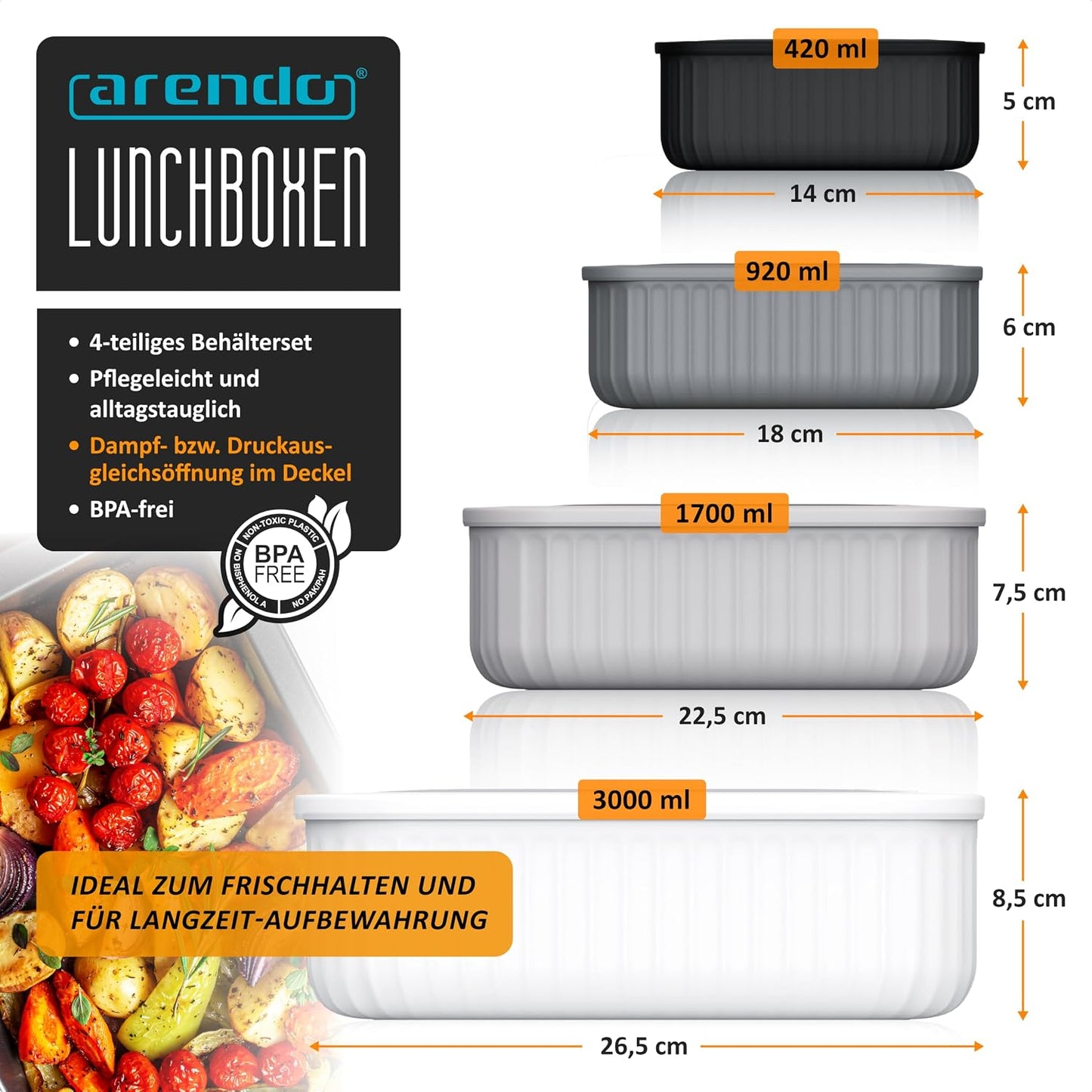 Lunchbox Set mit Deckel