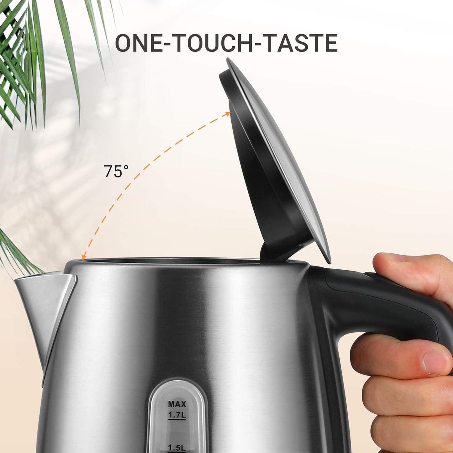 Wasserkocher mit Temperatureinstellung, 1.7L Edelstahl-silber