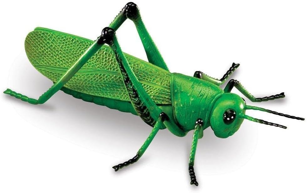 Grosse Insekten Lernspielzeug-Set
