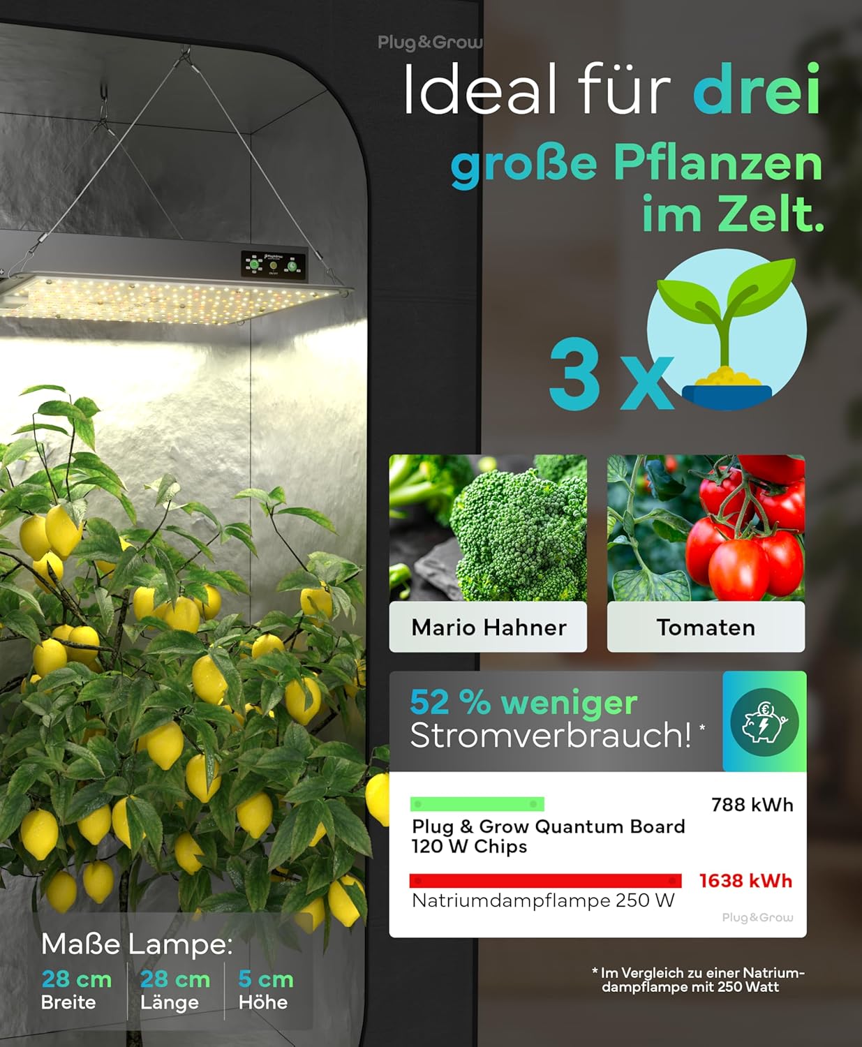 LED Grow Lampe mit Timer und Vollspektrumlicht