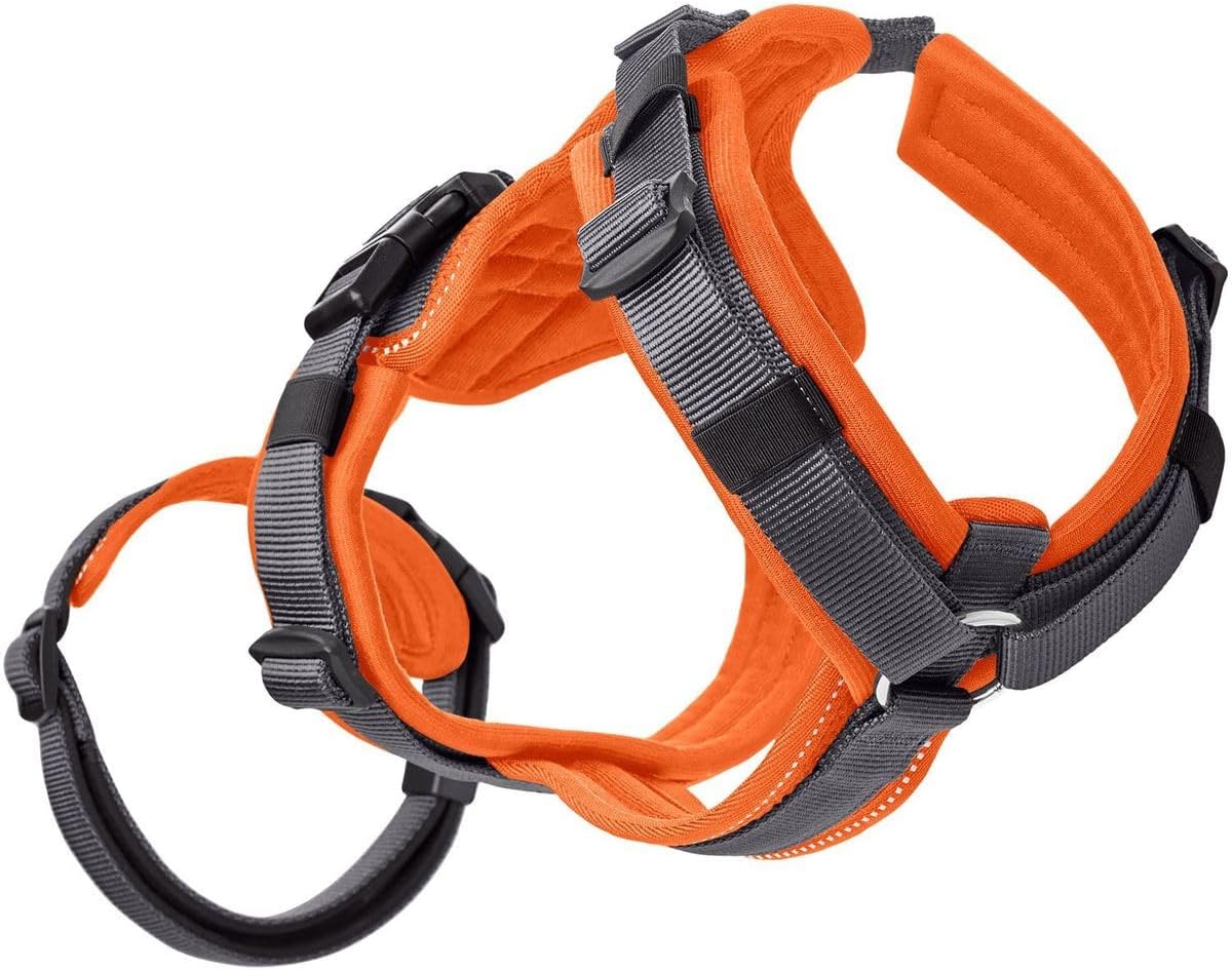 Sicherheitsgeschirr Maldon, S-M orange/grau