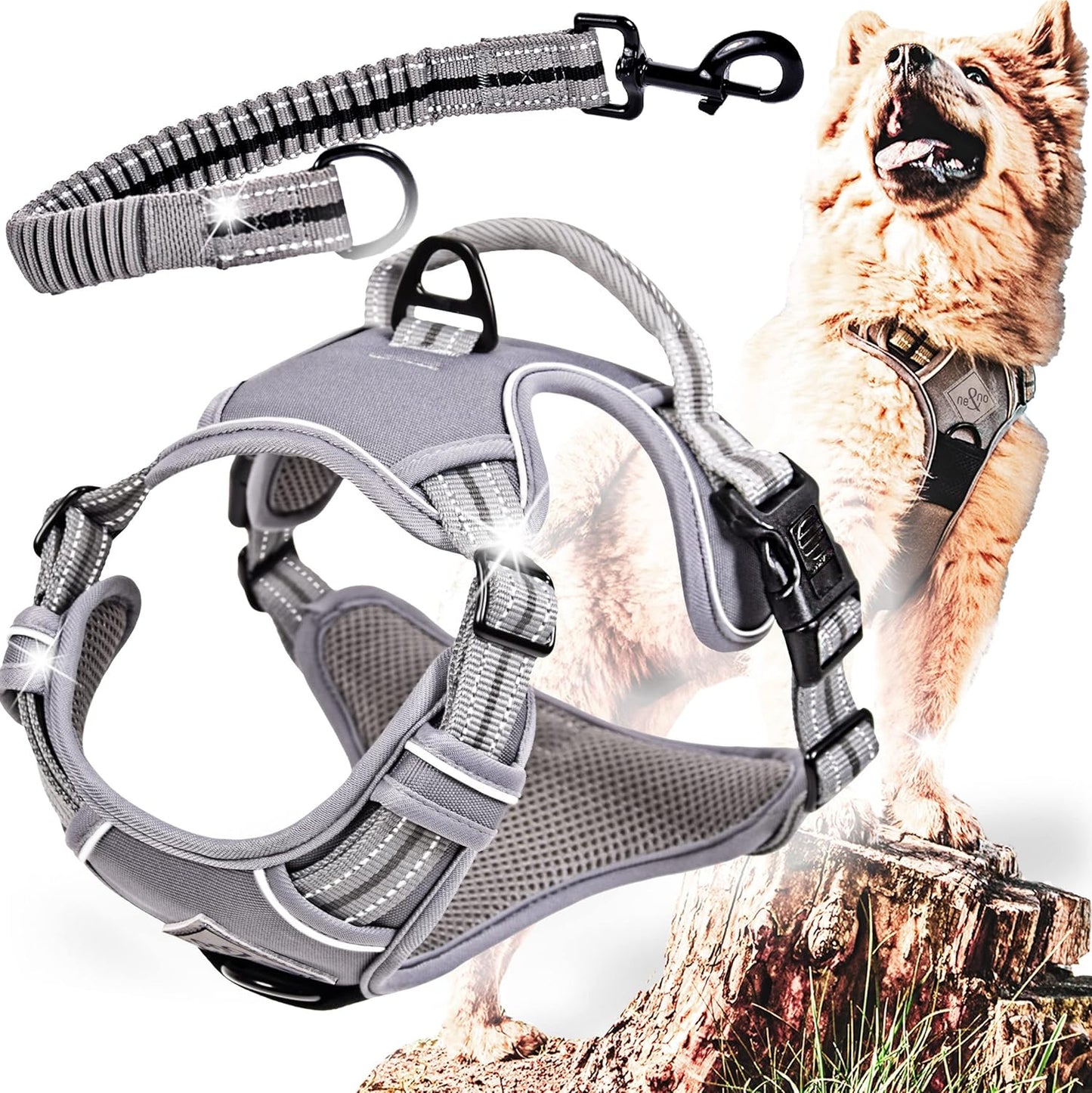 Hundegeschirr mit Ruckdämpfer, S