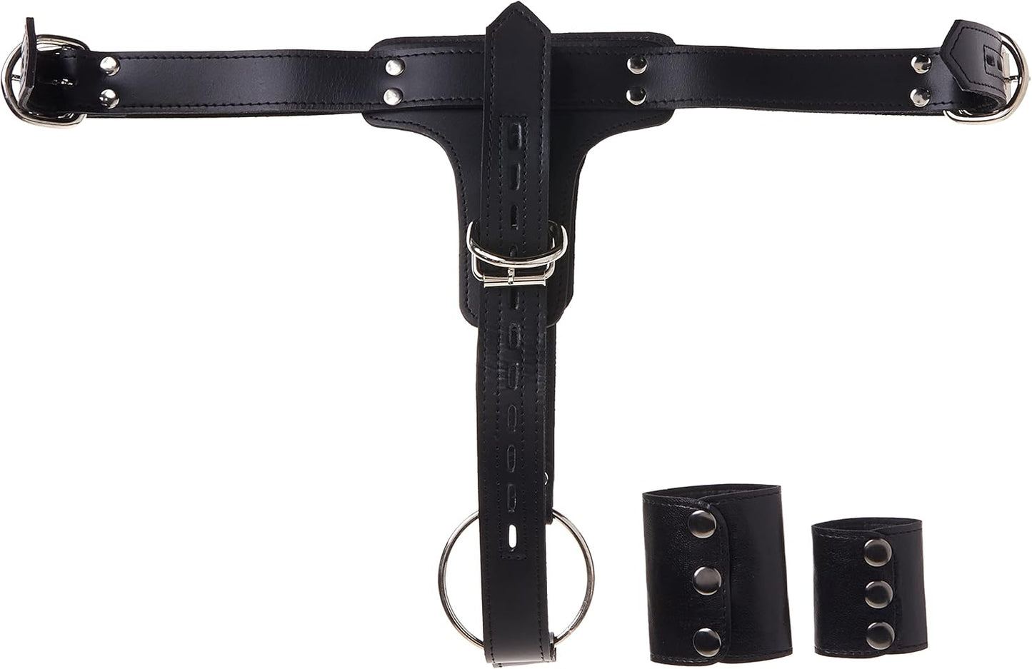 Premium Locking Leder-Cockring & Plug Harness