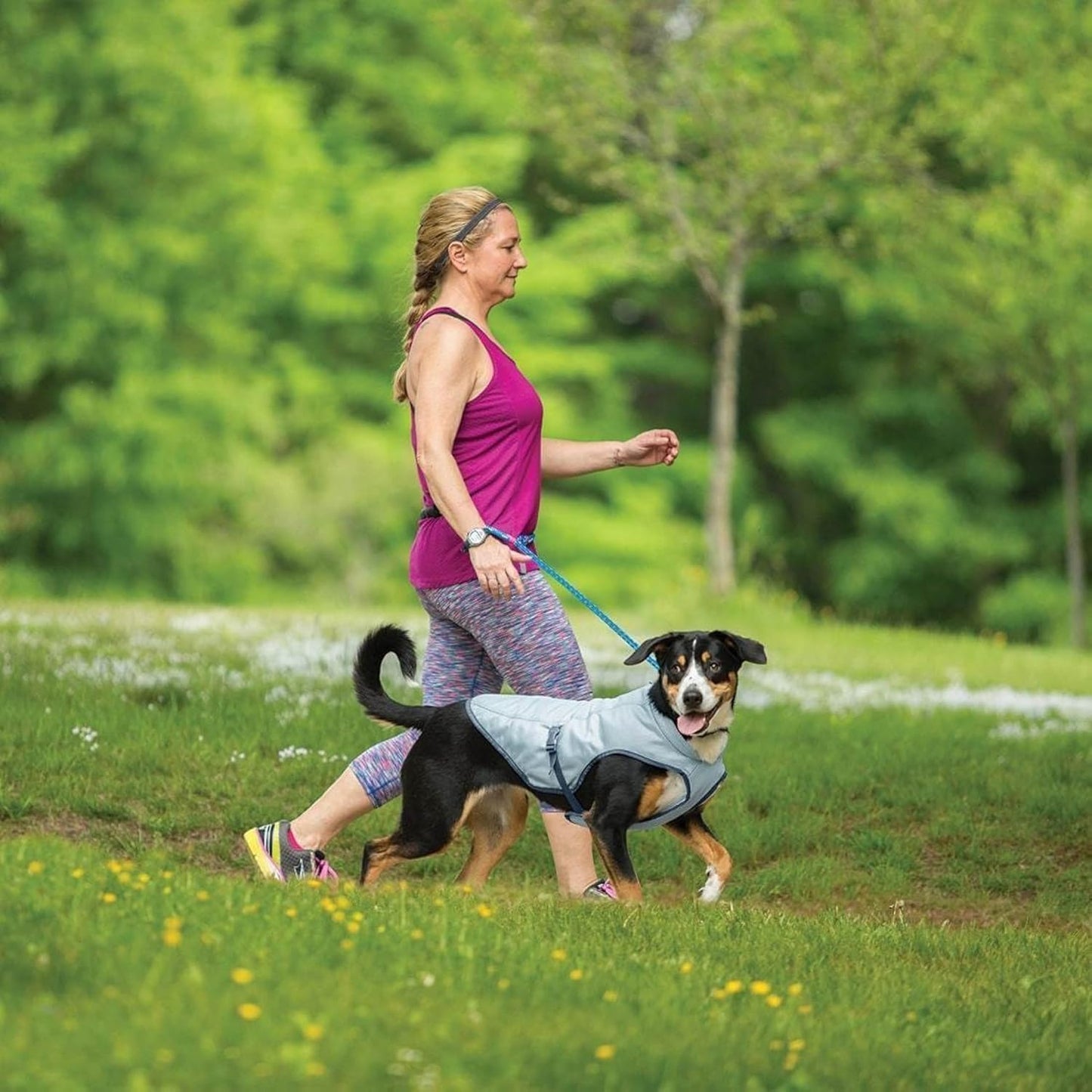 Hundekühlweste mit reflektierenden Akzenten, Kleine