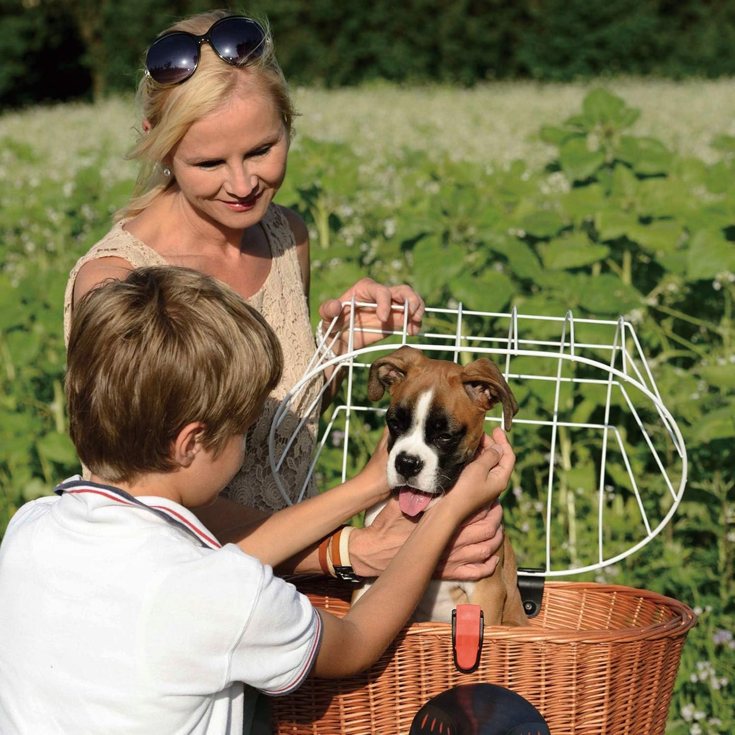 KlickFix Velokorb für Hunde, Braun