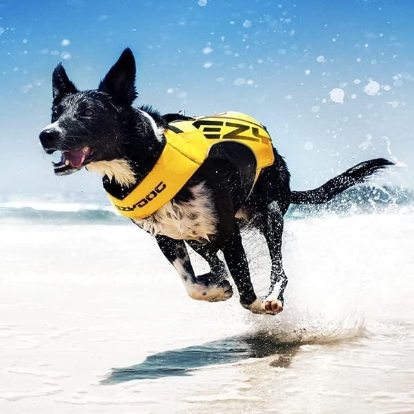Schwimmweste für Hunde, Gelb XL