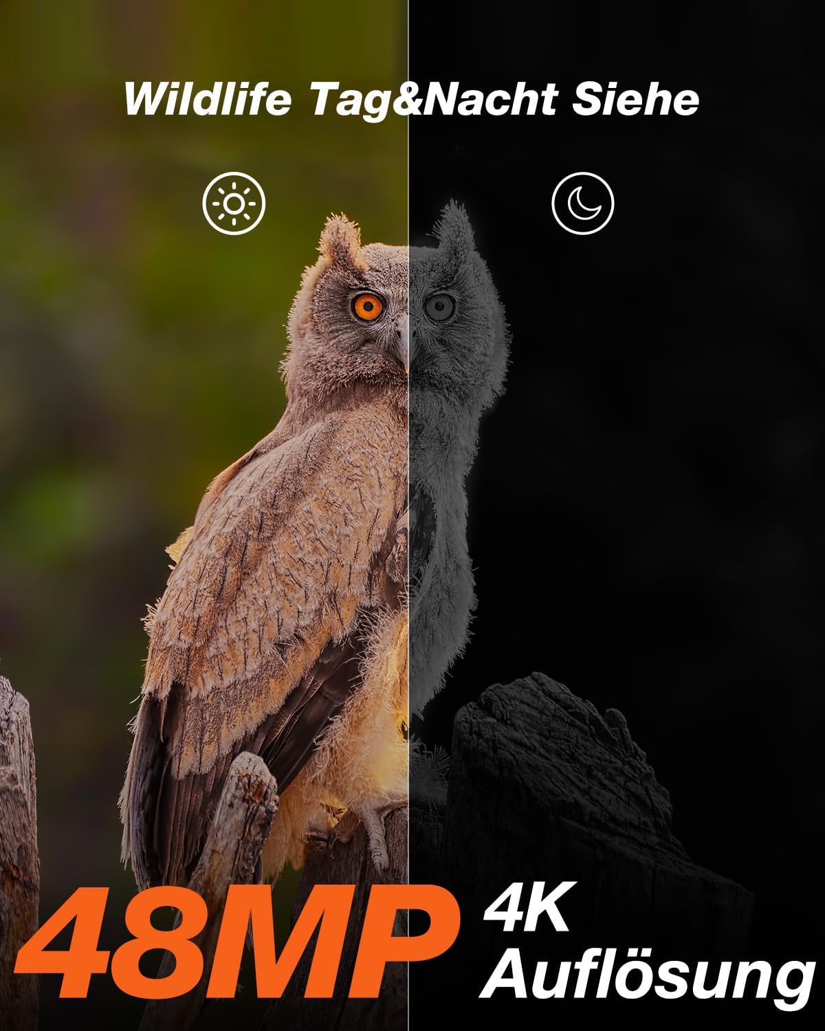 4K Wildkamera mit Nachtsicht & Bewegungsmelder, Getarnt
