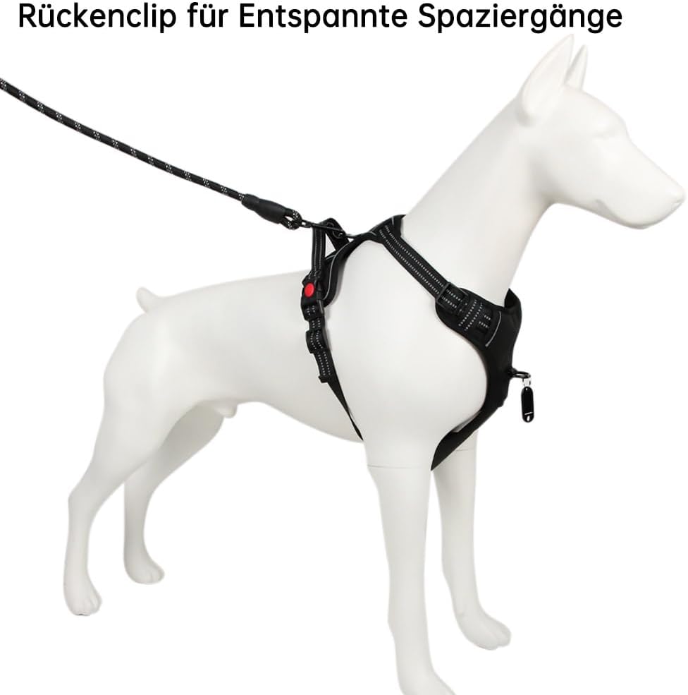 Hundegeschirr-Set inkl. Leine mit Reflexstreifen, M