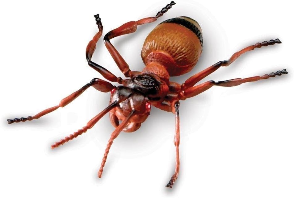Grosse Insekten Lernspielzeug-Set