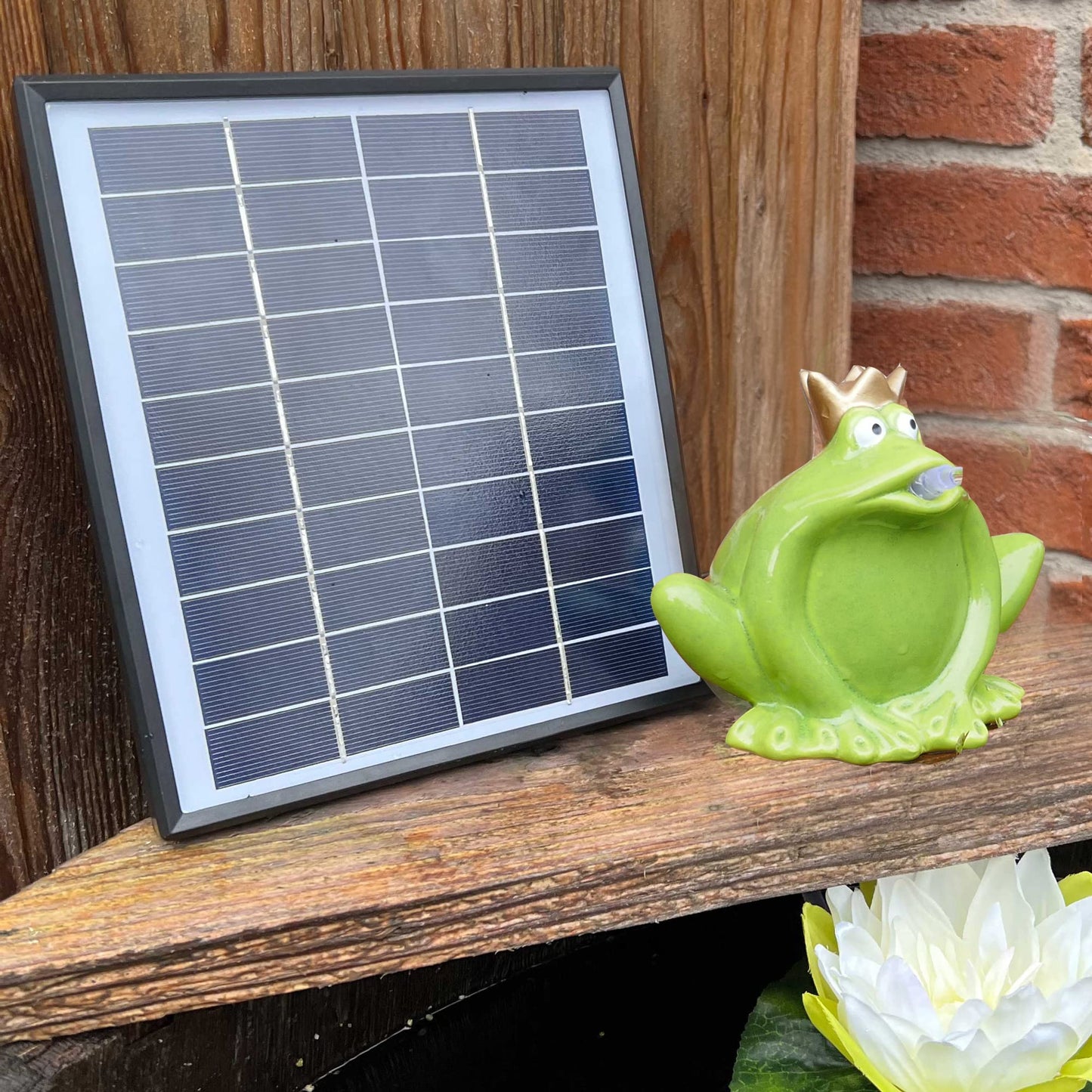 Solar-Wasserspeier Frosch